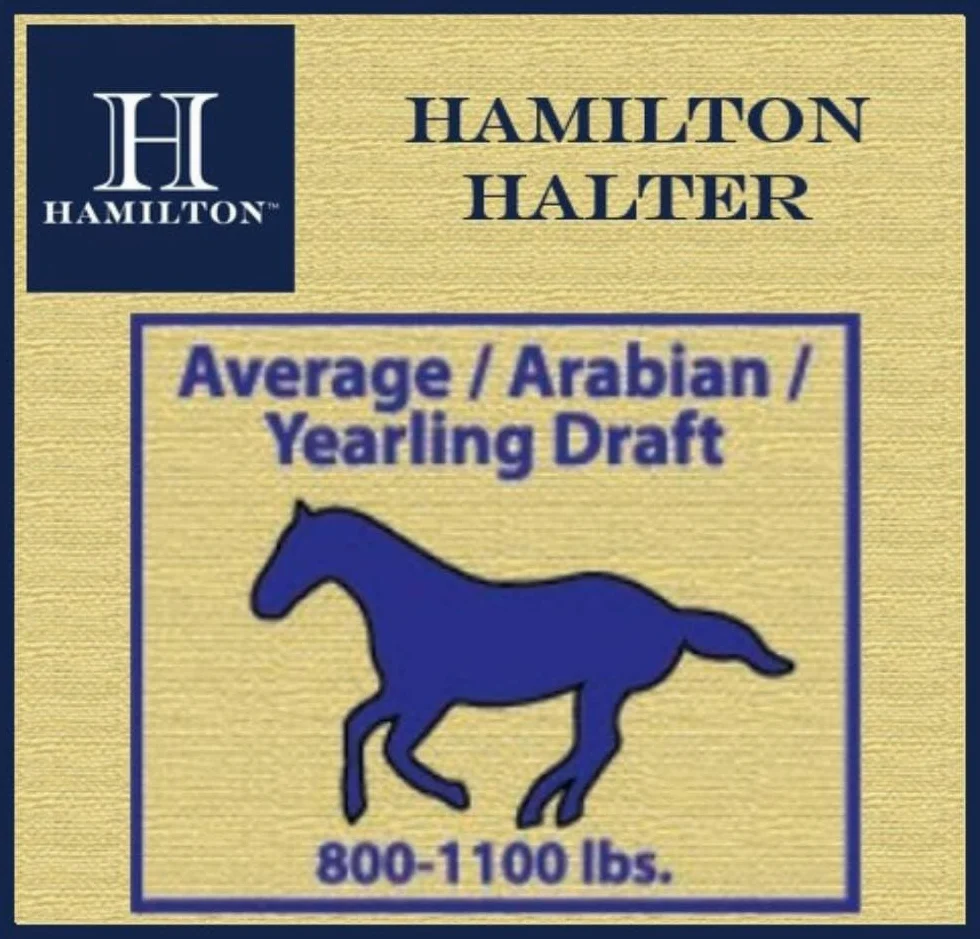 Hamilton Cabestro de Nailon de 1 Pulgada con mentón Ajustable, MRC101, Azul Berry, 1"