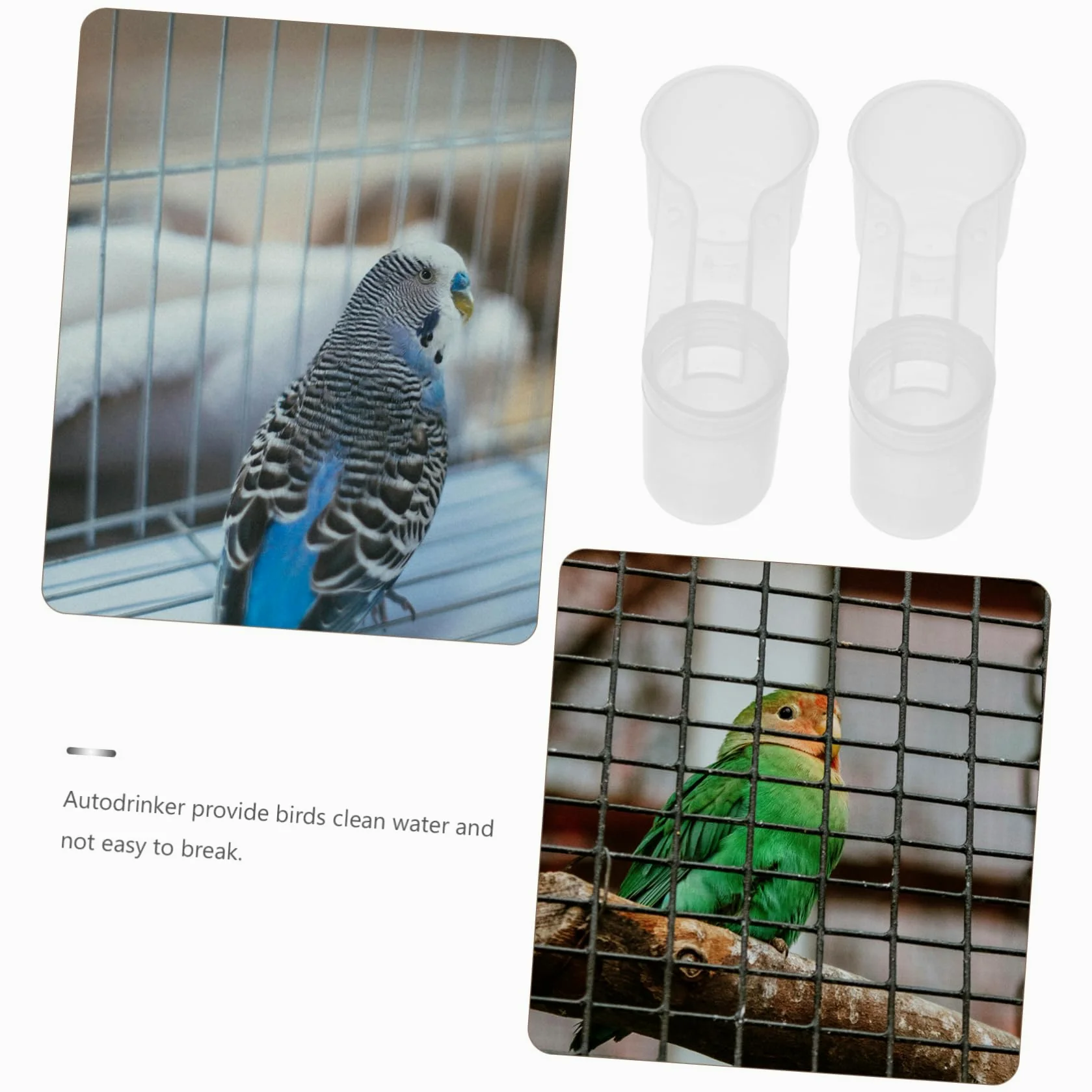 ibasenice Bebedero Automático Fácil de Limpiar para Palomas y Loros Doble Salida Plástico Blanco Paquete de 10 Unidades Adecuado para Tiendas de Mascotas y Zoológicos