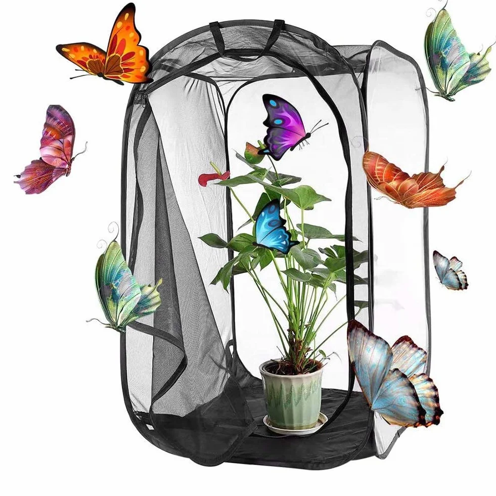 Hábitat para Insectos - Jaula de Malla para Insecto Palo, Oruga y Otros - Kit de Casa Red Terrario con Flujo de Aire