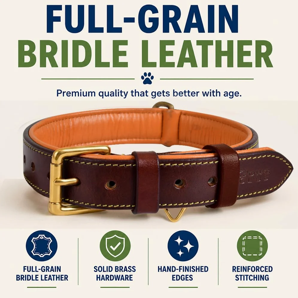 Collar de Cuero Genuino para Perro | Grano Completo, Resistente, cómodo, Fuerte, Ideal para Cachorros, Razas pequeñas, Medianas y Grandes | (XL (Talla de Cuello 22.5-25.5"), marrón)