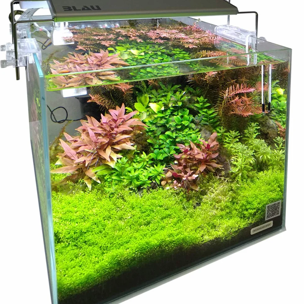 Blau Aquaristic Cubic Aquascaping 27, Transparente