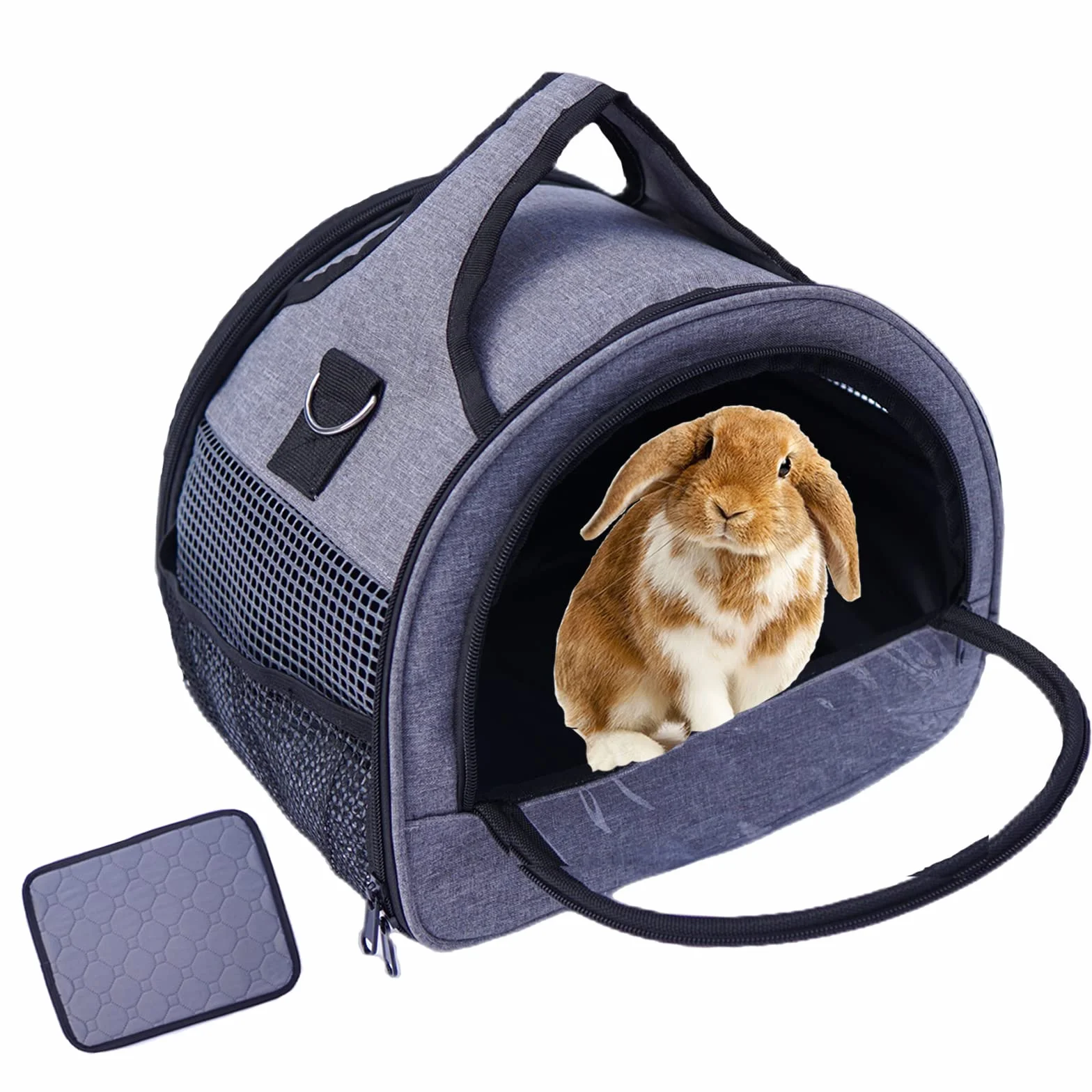 Transportador de Conejillo de Indias, pequeño transportador de Mascotas para Conejo, hámster, pájaro, Conejo, dragón Barbudo, Gatito, etc.