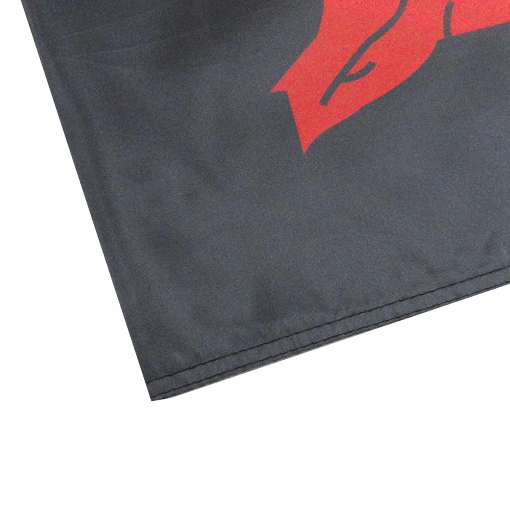 AZ FLAG Bandera Gales Dragon Negro 90x60 cm Poliéster Con Ojales de Metal