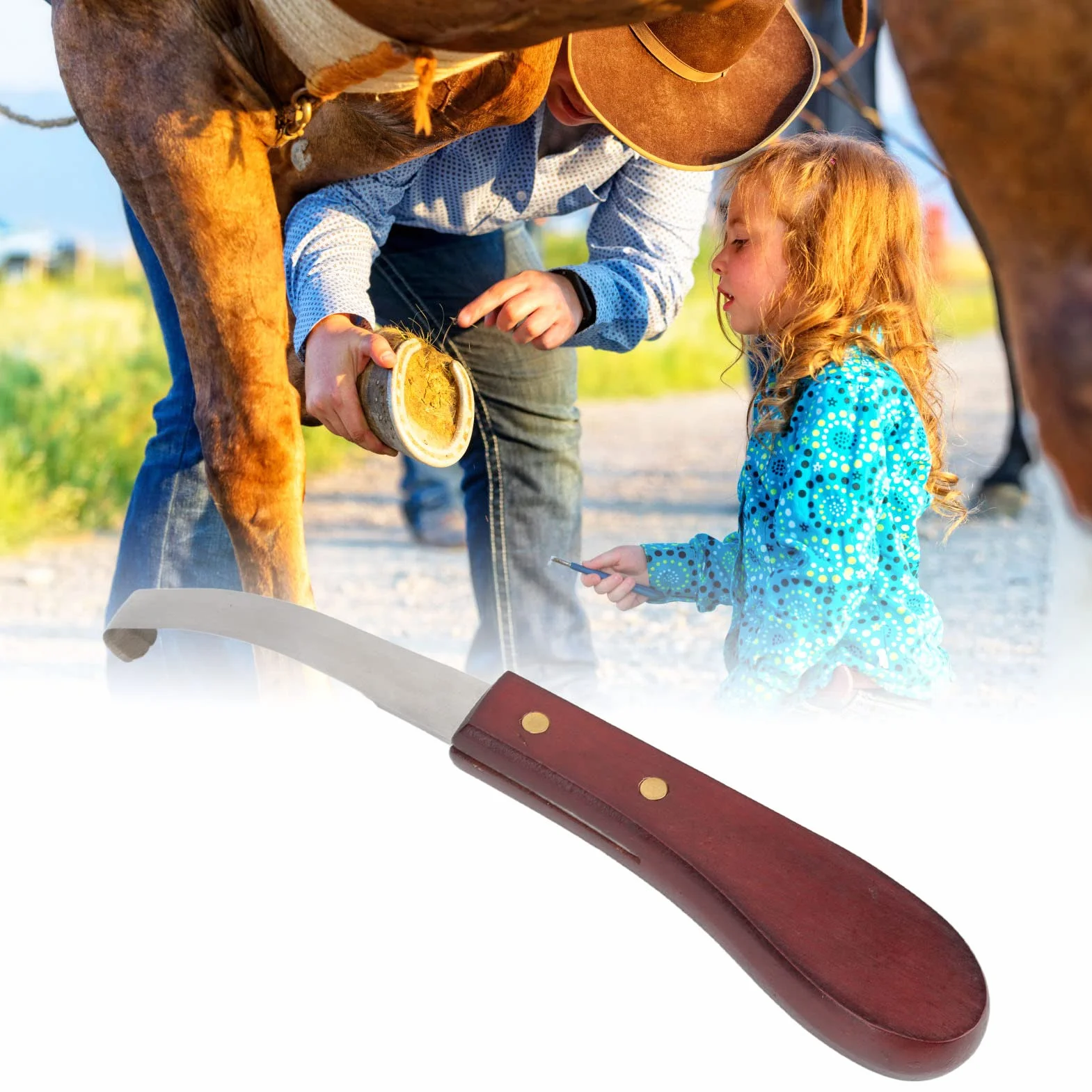 Herramienta para Recortar Pezuñas para Caballo, Cuchillo para Pezuñas de Acero Inoxidable, de Madera de Goma, Cuchillo para Pezuñas, Cuchilla de Doble Filo, Hoja de Doble Cara, Mano Derecha