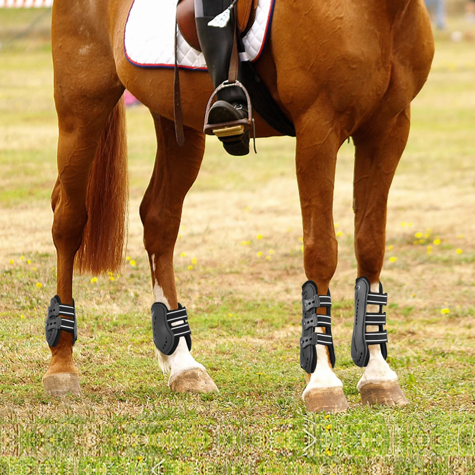 Protectores Caballo, Botas de Pierna de Caballo Polainas Gorras para Pies Frente de Caballo Protector elástico Botas Pony protección de Pierna con absorción de Impactos, L, Negro