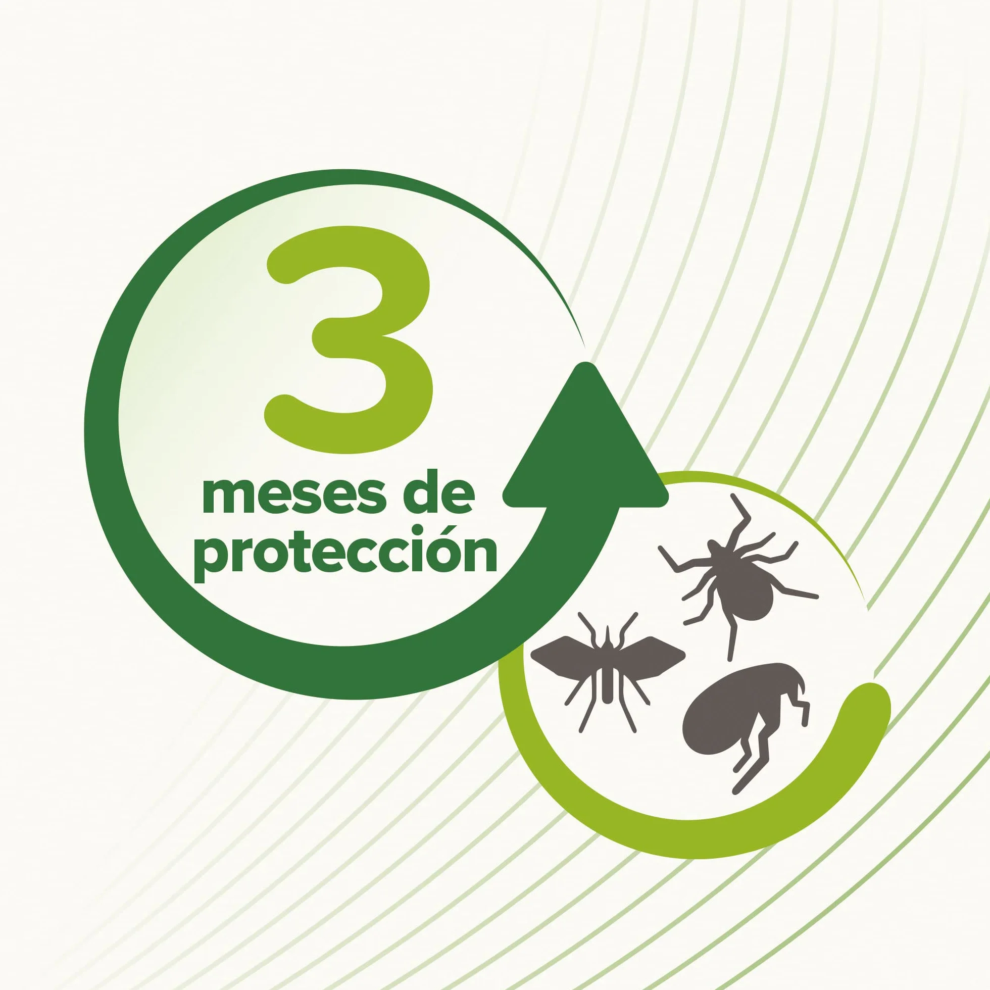Beaphar Collar Repelente Natural para Gatos - 3 Meses de protección Natural contra garrapatas, pulgas y Mosquitos - para Todo Tipo de Gatos 35CM