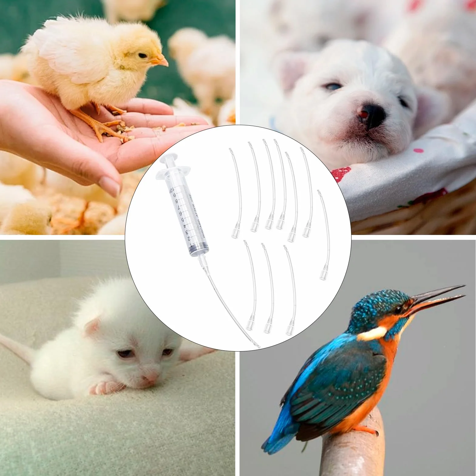 Jeringas de 10ml con 10 unidades de tubo, Set de alimentador para aves jóvenes, Jeringa con tubo, Accesorios para palomas, Disposición de pájaros bebé loros, Herramienta de alimentación manual, Para
