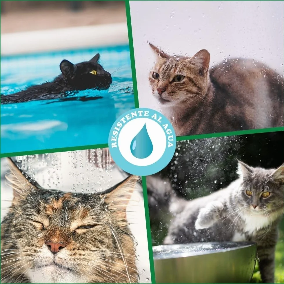 Collar antipulgas y garrapatas para Gatos, Resistente al Aqua, protección Activa de hasta 8 Meses, 33 centimetros, para qualquier tamaño de Gato