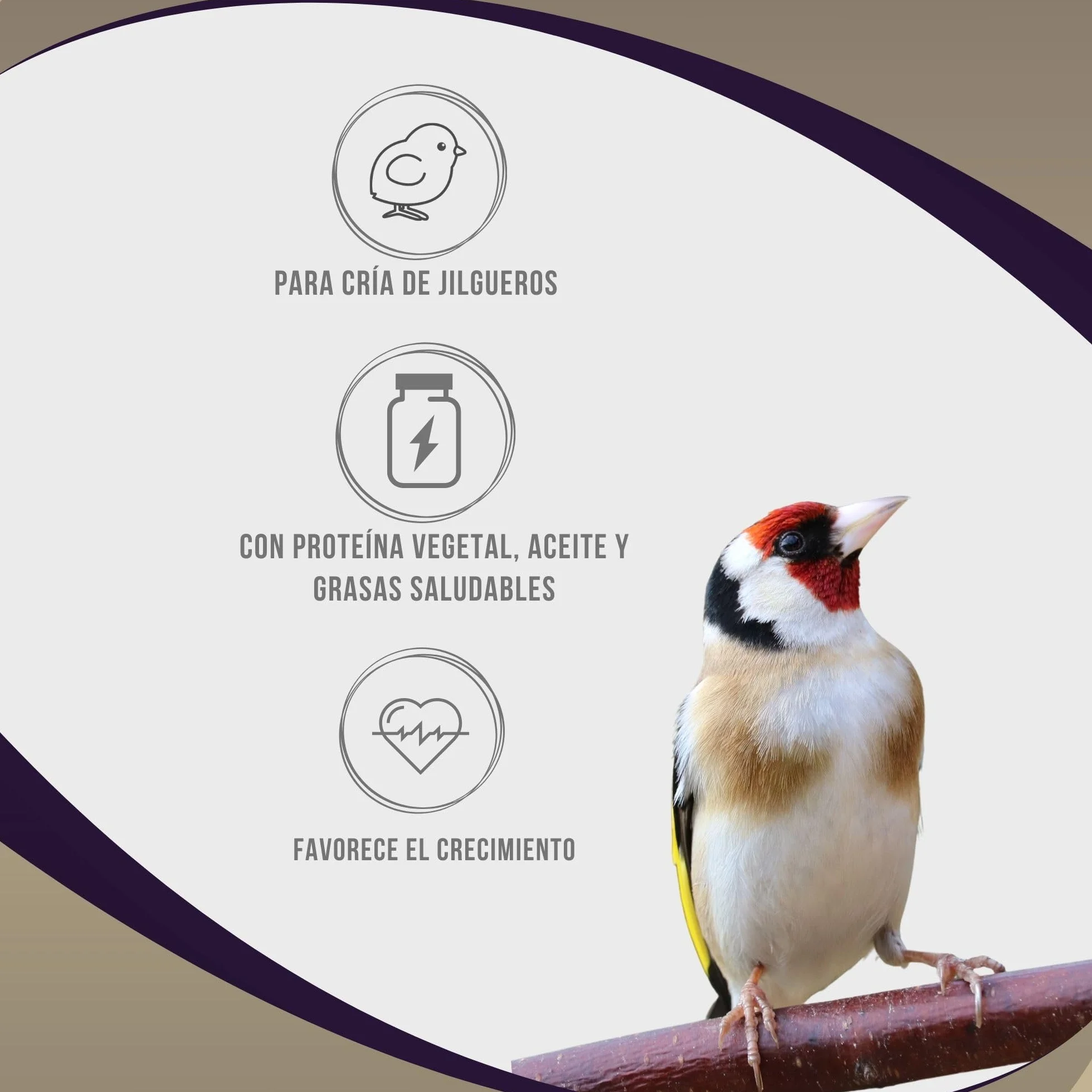 Aviantecnic Papilla Embuche Jilgueros | Alimento Complementario para Pájaros Ornamentales | 400 g con Jeringa de Embuche Incluida
