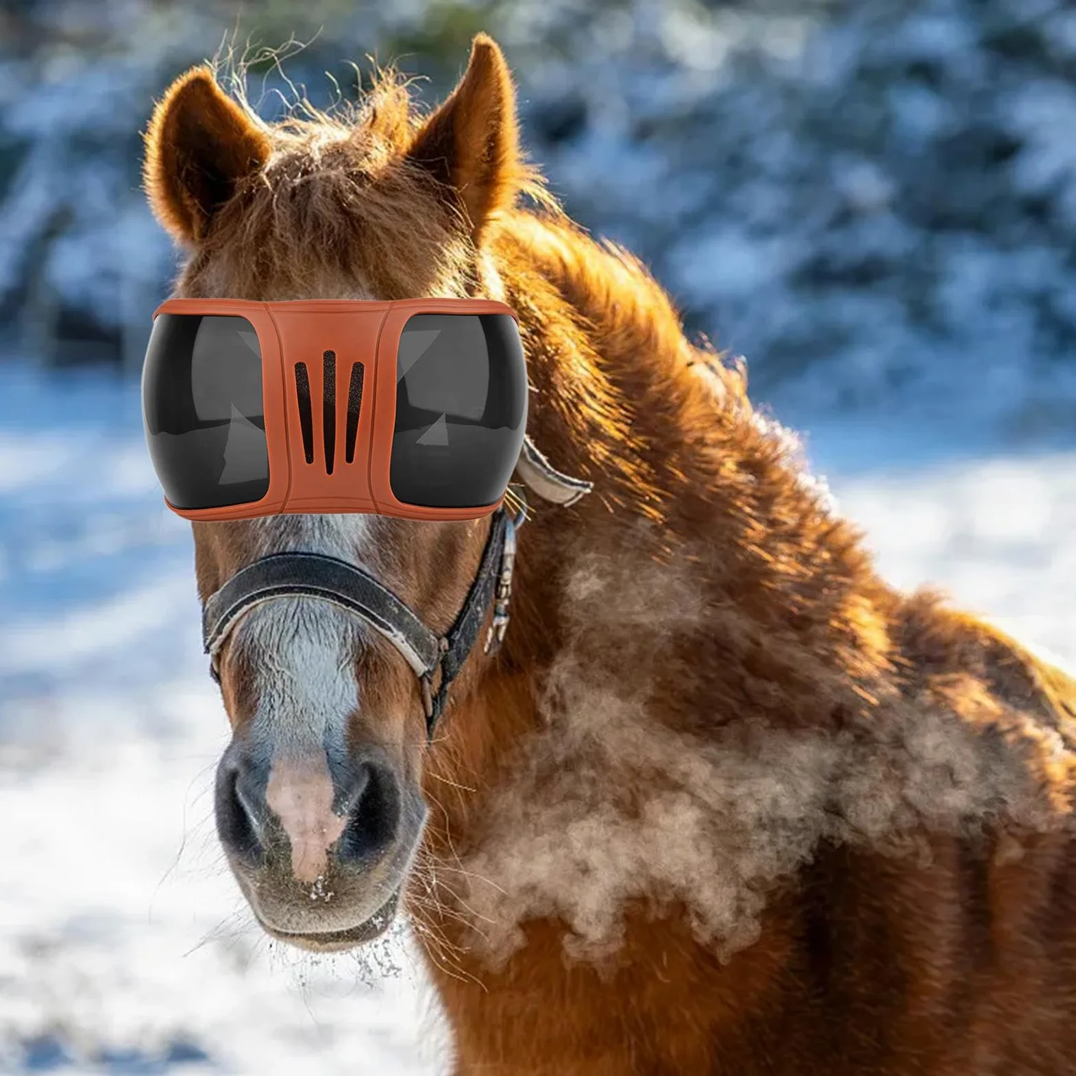 Gafas para Equitación Lentes Protectores para Caballo Prevención de Polvo Protección Solar Montura Ajustable Adecuado para Paseos al Aire Libre