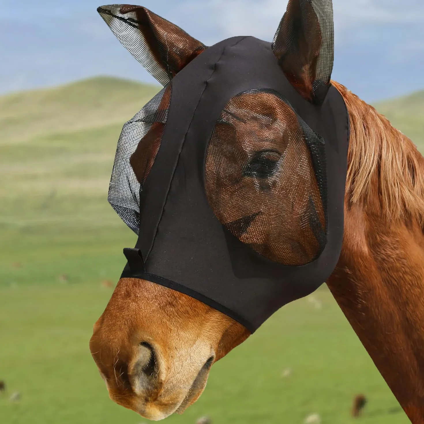Máscara Anti-Moscas Protección con Orejas, Elasticidad Máscara de Mosca, Máscara Anti Moscas para Caballo, Excelente Comodidad con Protección UV, Máscara Estándar para Caballos