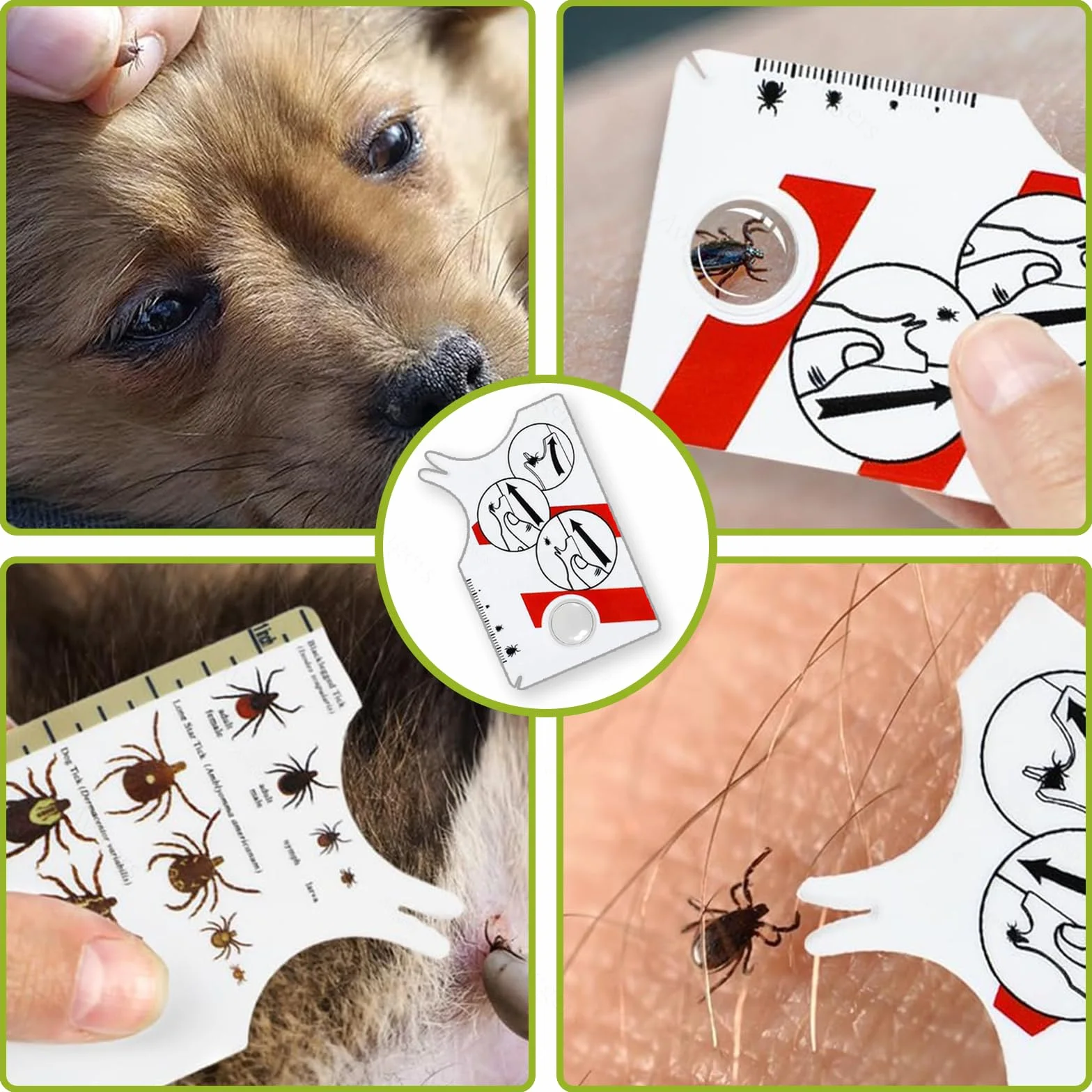 Avigers 3 tarjetas de garrapatas con lupa para humanos, niños, perros y gatos, tarjeta de garrapatas para personas al aire libre, camping y mascotas, tarjeta de tick para eliminar suavemente las