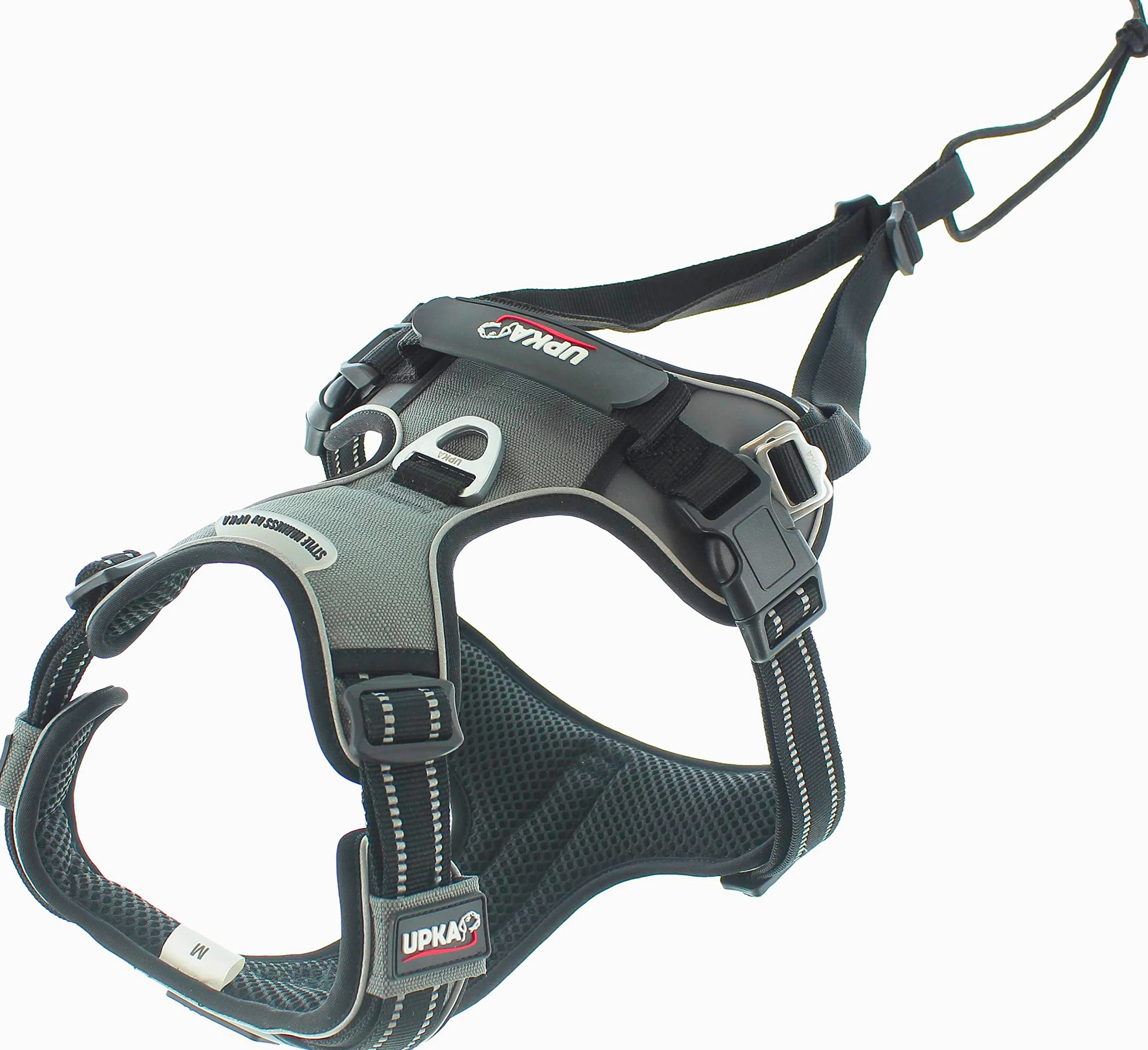 I-dog