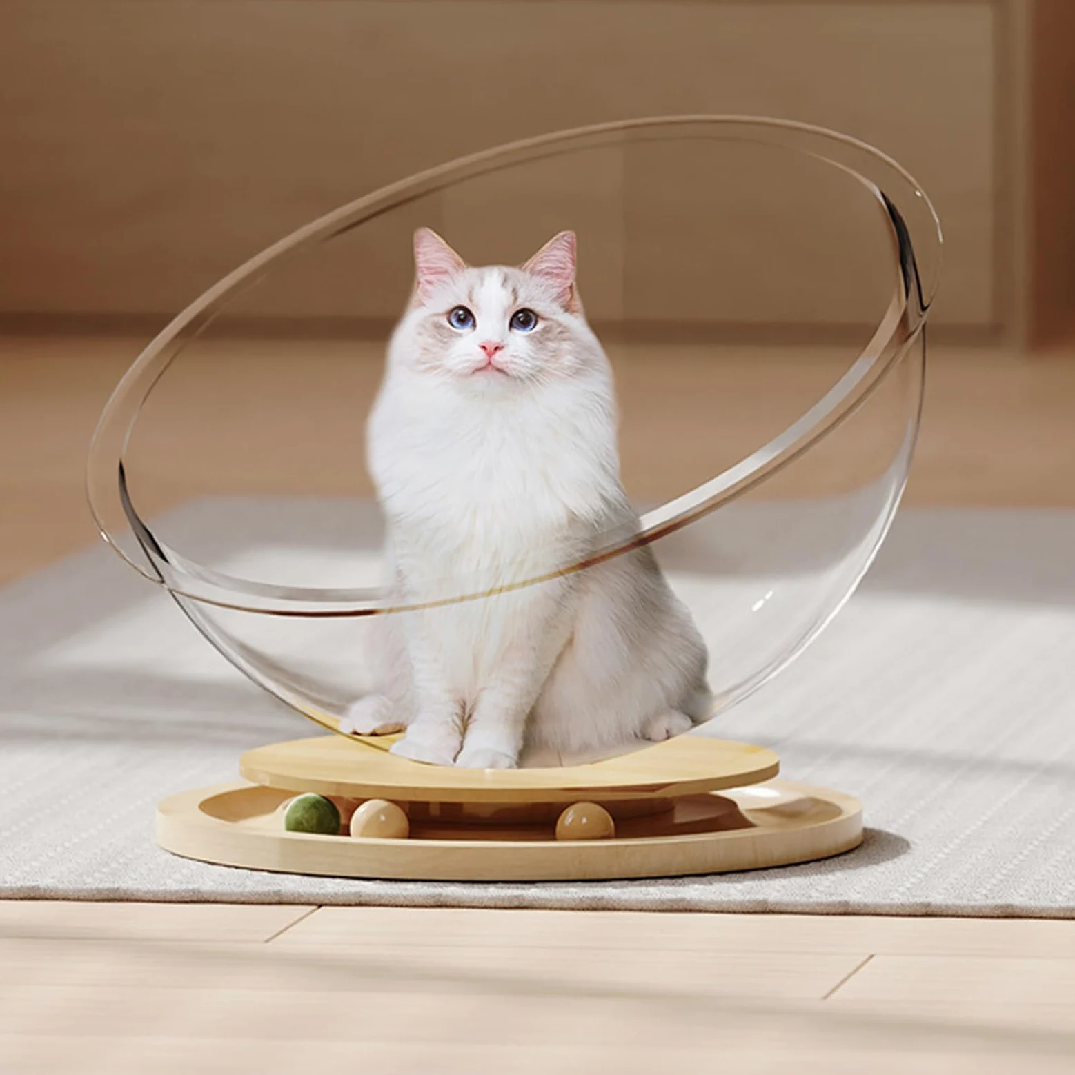 Gatos juguete durabilidad juego universal espacio cabaña cama para felinos activos transparentes