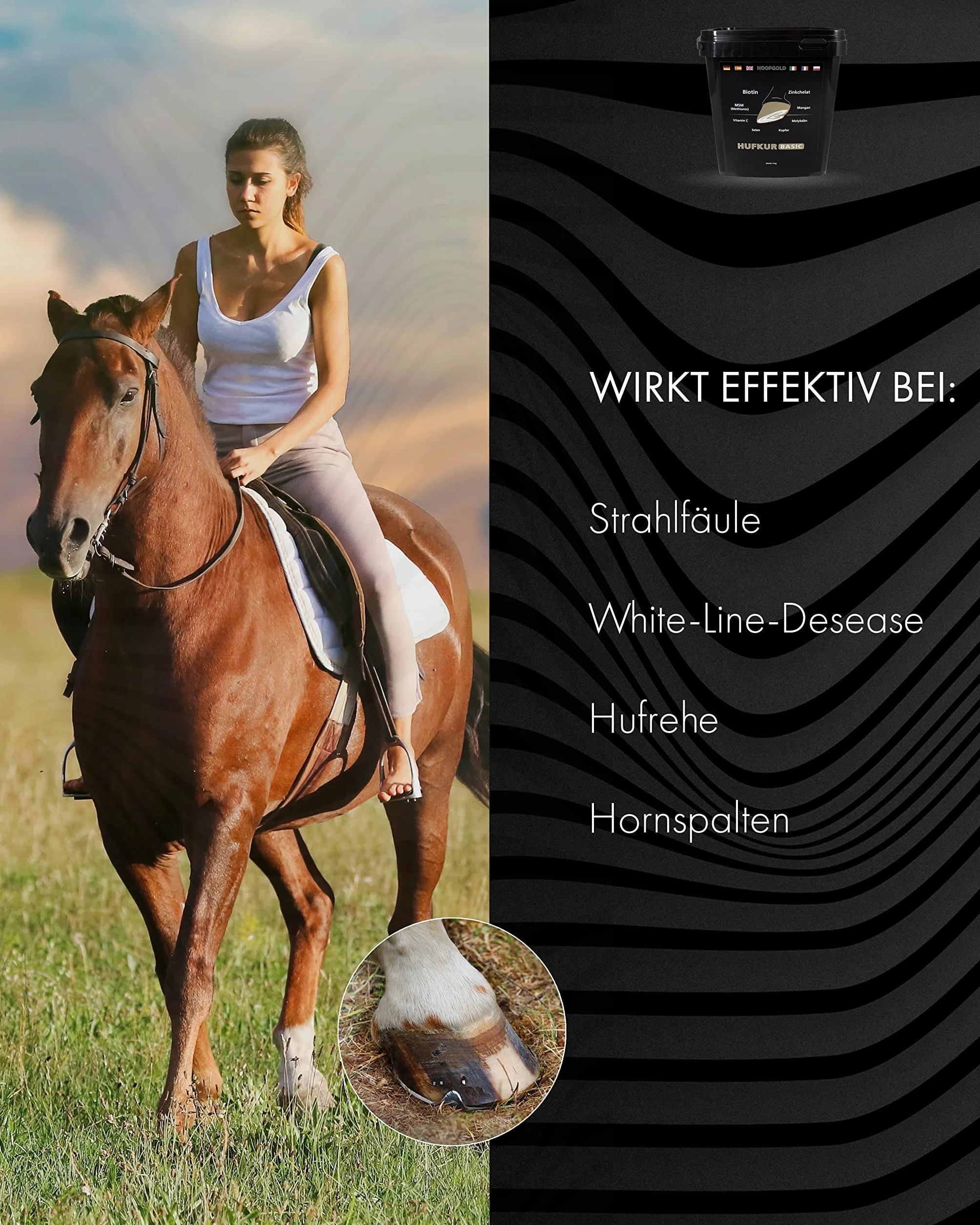 Complemento alimenticio para caballos - Refuerza el sistema inmunitario de los caballos - Antidoping - 4 kg de vitaminas para los pies