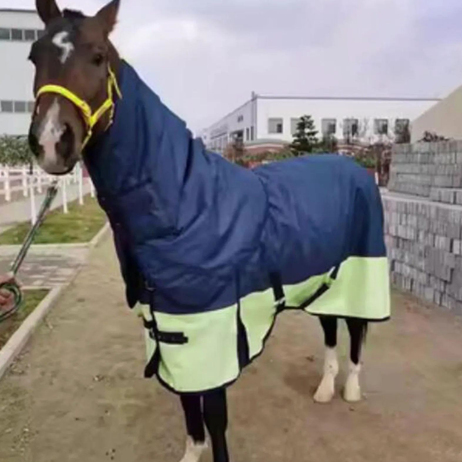 Manta de Invierno para Caballos con Protector Abdominal Integrado, Tejido Oxford 600D, Capucha Protectora, Hebilla Resistente, Apta para Establos Grup, Navy Blue S