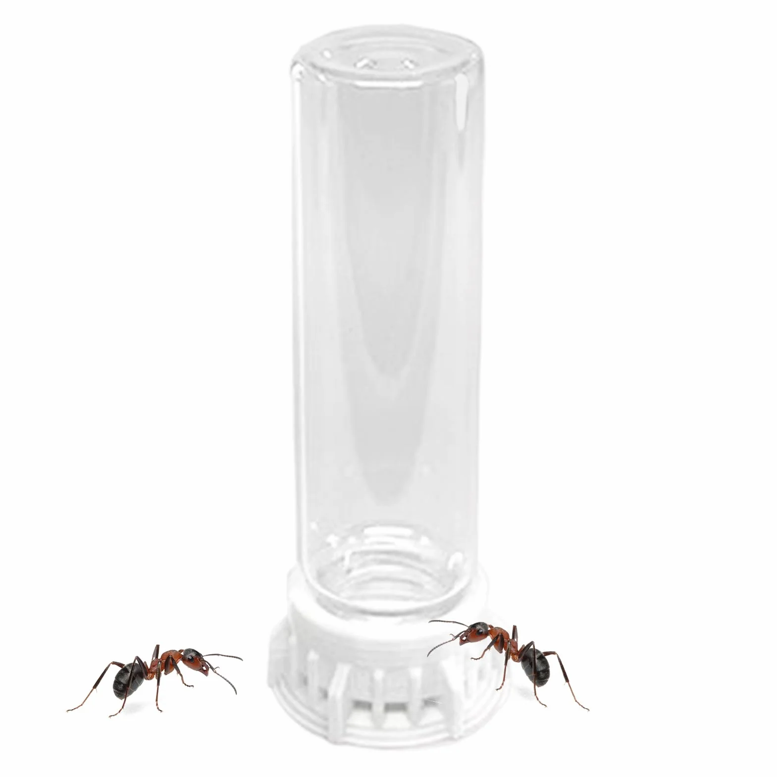 Dispensador De Agua para Hormigas - Bebederos Transparentes para Hábitat De Mascotas - Estación Portátil Antifugas con Accesorios Antideslizantes para Hormigueros Y Pequeñas Mascotas De Interior