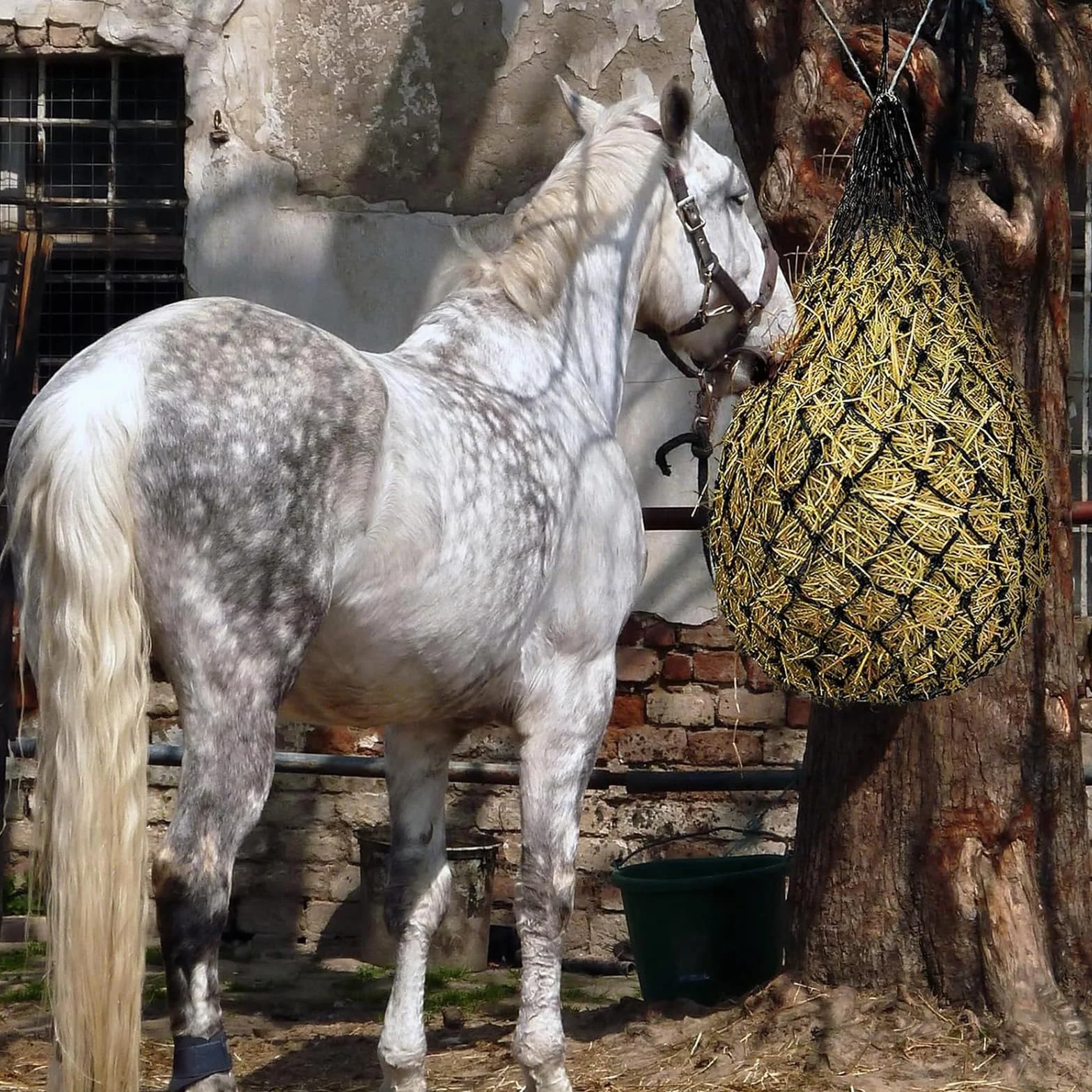 2 Piezas Redes de Heno para Caballos, Malla Fina de 5x5 cm para Alimentación Lenta, Portátil Red Heno para Cabras, Reduce el Desperdicio para Caballos, Cabras y Ponis