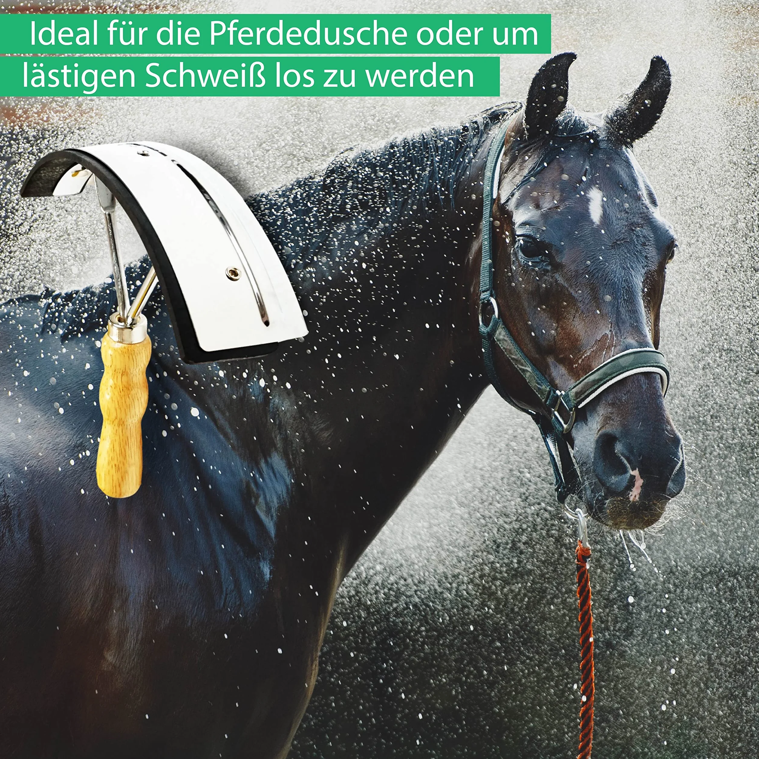 Pferdelinis Sudor Cuchillo Acero Inoxidable con Madera Mango para Caballo Burro y de Cabra de 2 en 1 Función para abstreifen y Limpiar