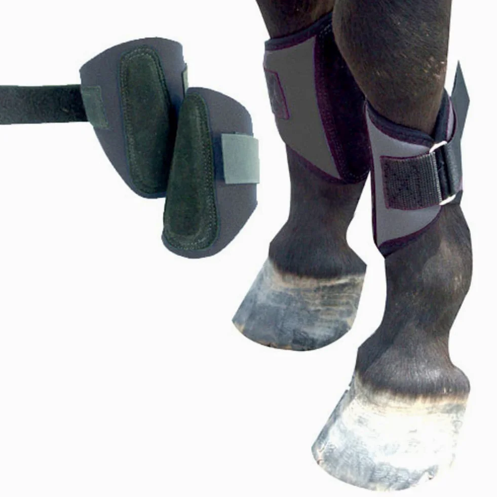 Intrepid International - Botas de férula para Caballo