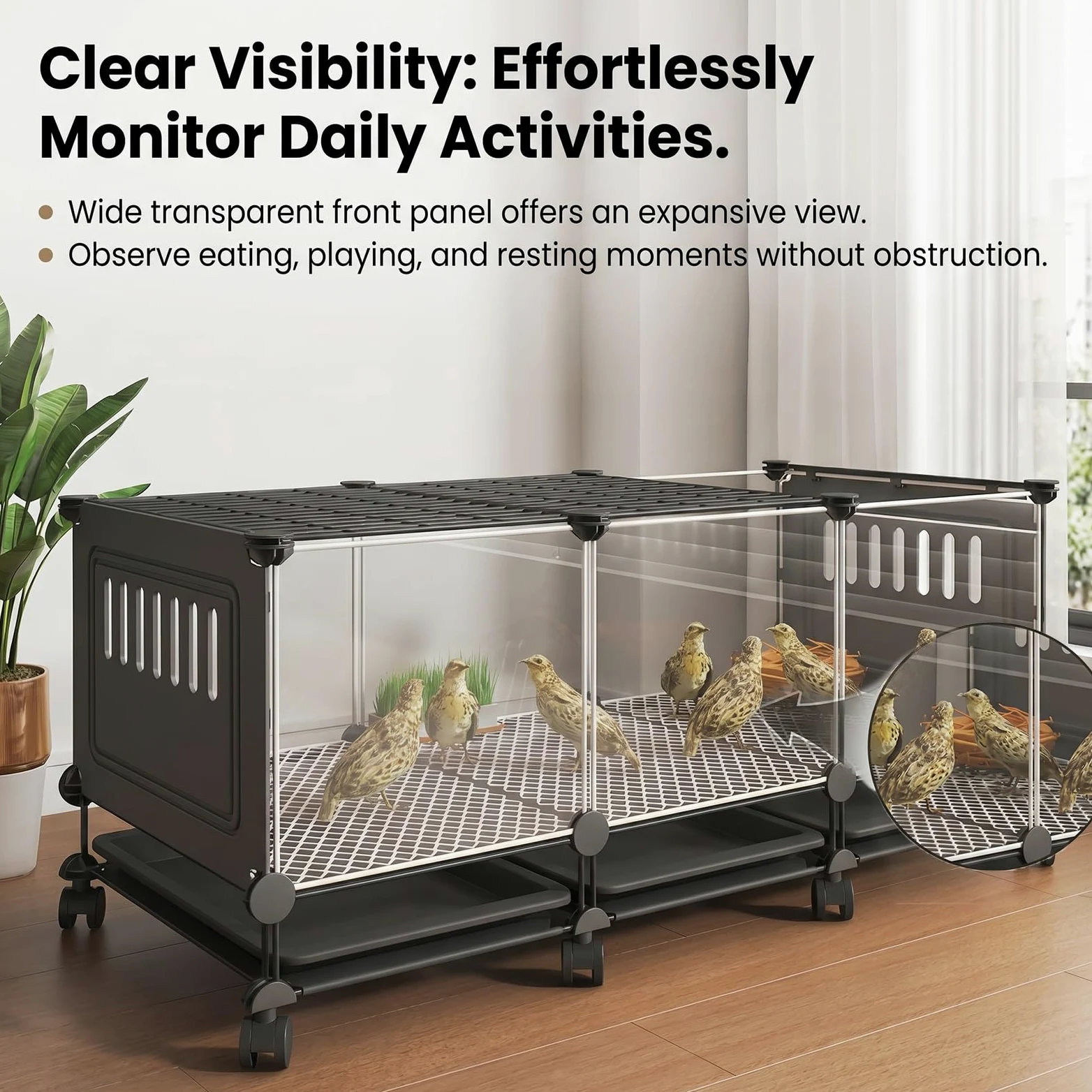 Jaula Grande para Animales pequeños, gallinero Transparente HD para Conejos y gallinas con Ruedas, Bandeja extraíble, Almohadillas Antideslizantes, Caja de cría para gallinas(Black,S)
