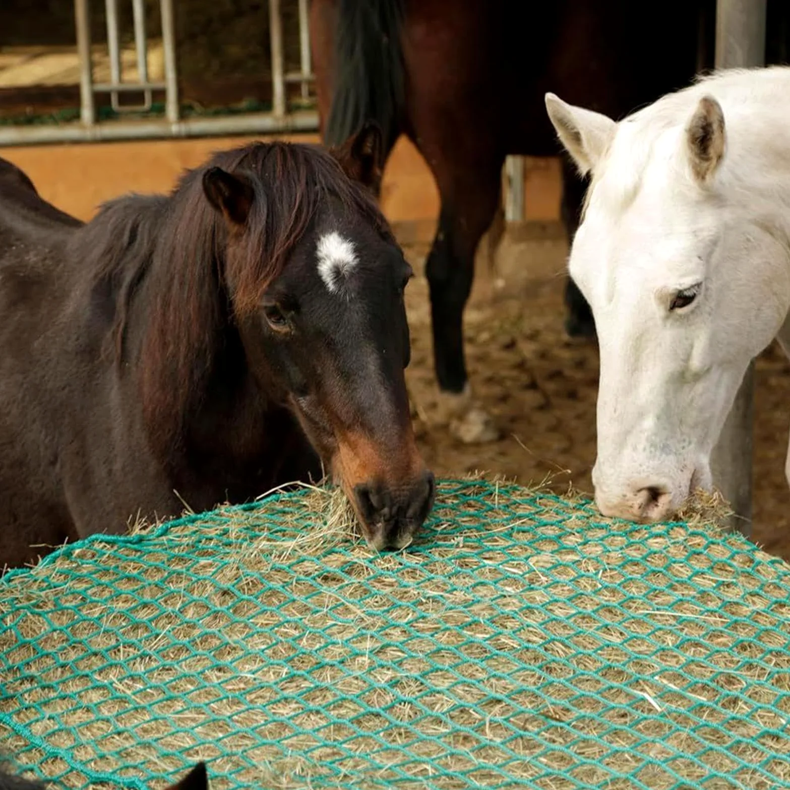 Red Para Heno De Alimentación Lenta Organizador de Alimento para Ovejas | Bolsa Malla Alimento Ovejas para Caballerizas Veterinarios Jinetes Cuadras Escuelas de Equitación Ranchos Granjas y