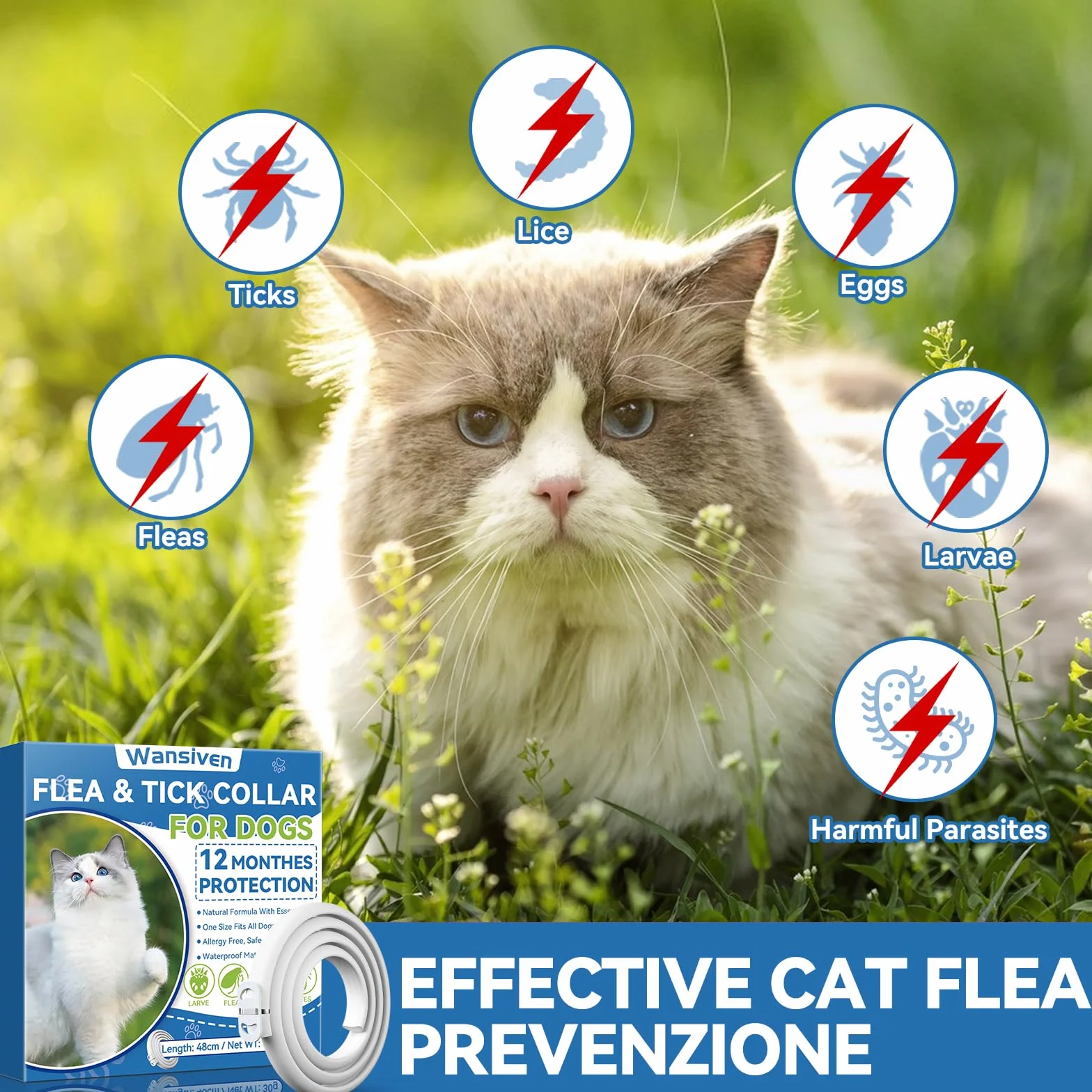 Wansiven Collar antipulgas para Gatos, 12 Meses de protección contra pulgas, 48 ​​cm, Ajustable, Impermeable, antipulgas y garrapatas, Ideal para Gatitos, Gatos medianos y Grandes