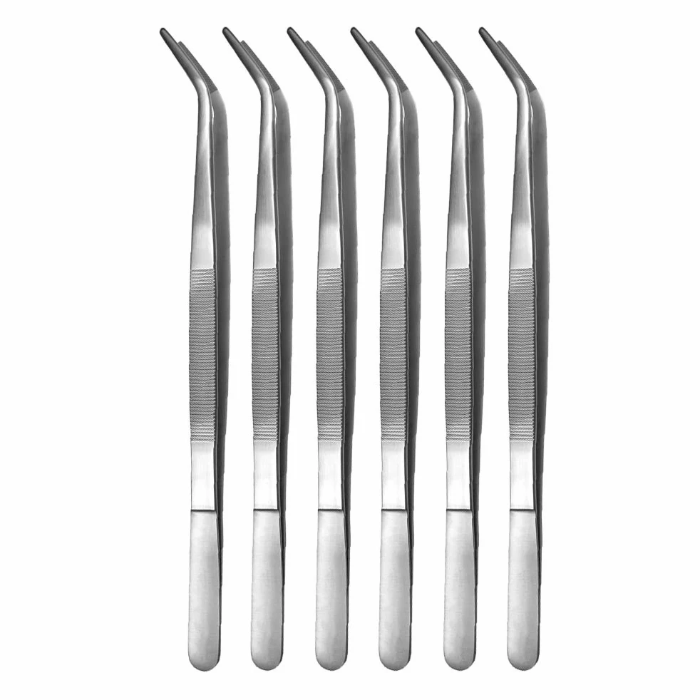 May – Set – 6 Pinzas de terrario de 35 cm de Largo – Pinzas de alimentación – Pinzas de terrario – Acabado Curvado – Acero Inoxidable
