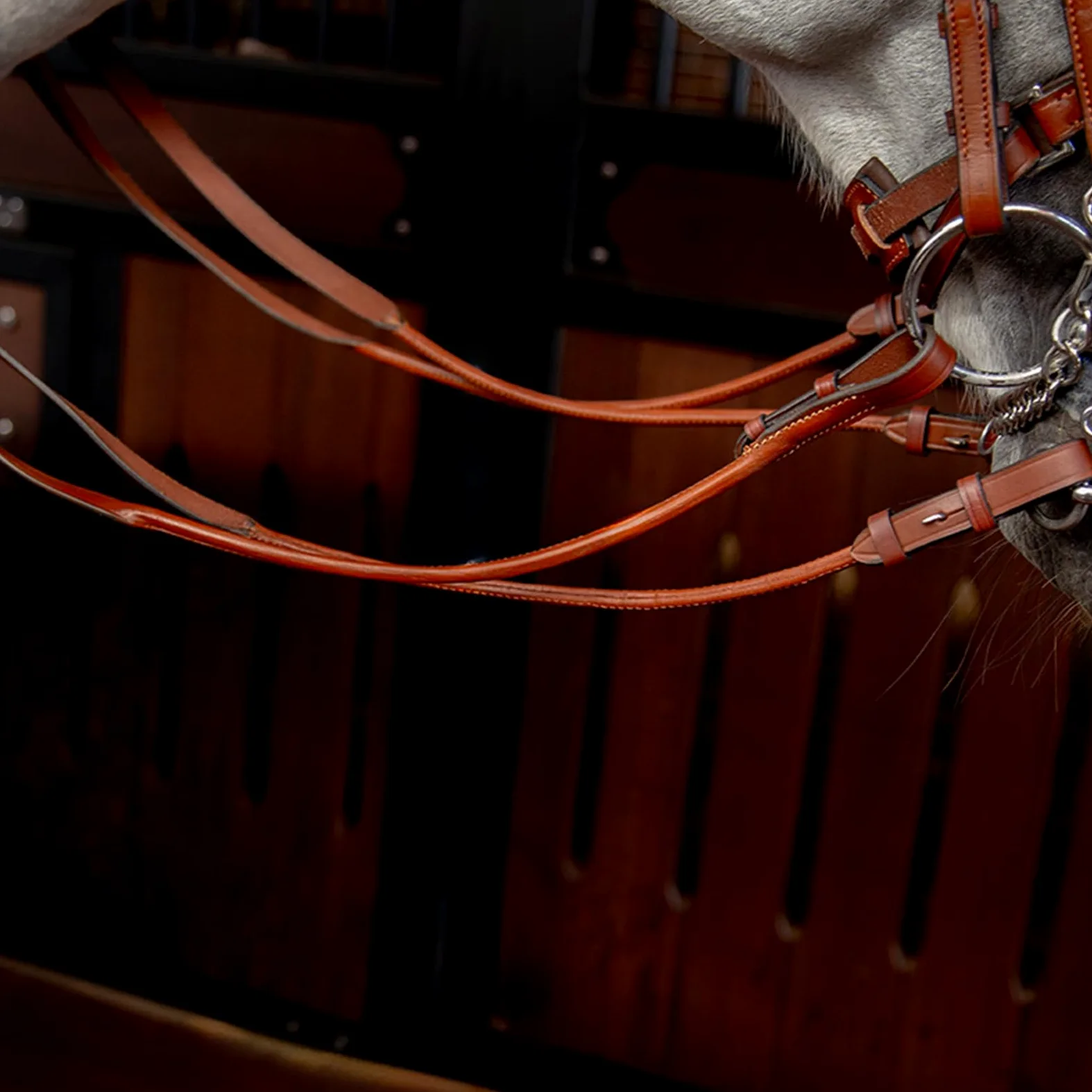 Cabestro de caballo y cuerda de plomo, material de cuero vacuno con diamantes de imitación para uso ecuestre