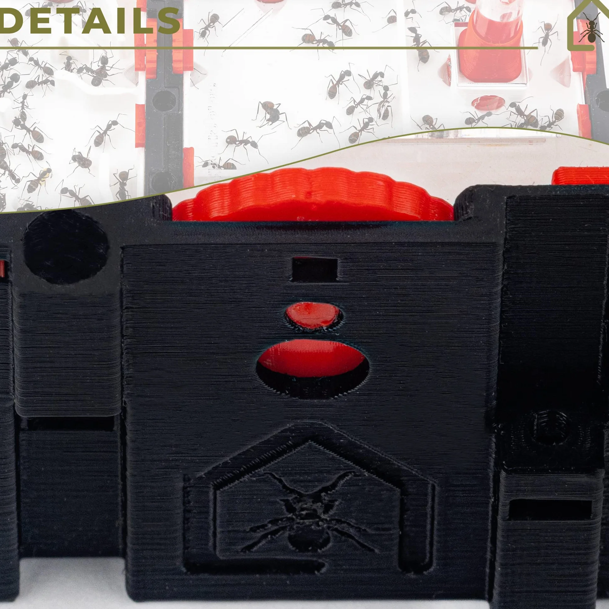 Anthouse.es - Caja de Forrajeo para Hormigueros Modulares 3D - QBIK Quadra - Terrario Colonias de Hormigas Jóvenes - Sistema Ergonómico y Fácil de Ampliar -12,78x12,78x12,70 cm