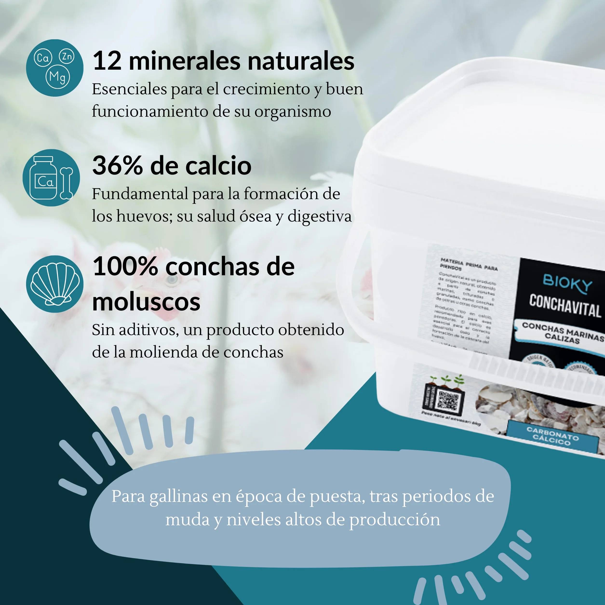 ConchaVital 6kg - Calcio para Gallinas Ponedoras y Otras Aves - Conchilla de Ostra - Pienso +12 Minerales - Mejora Calidad del Huevo, Corrige Carencias Nutricionales y Mejora Productividad