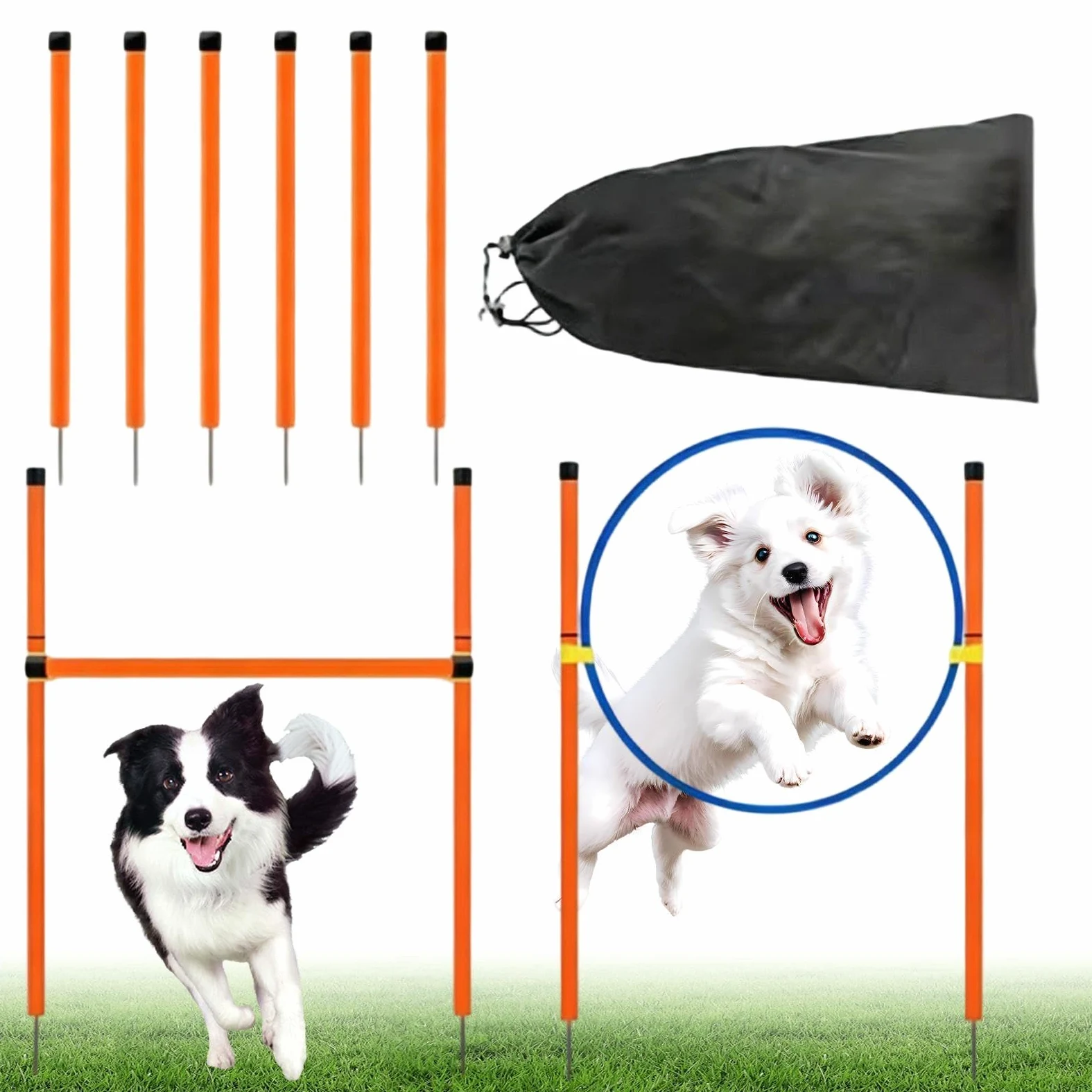 Equipo de adiestramiento en agilidad para perros juego con ejercicio con | Equipo de parque canino exterior Para recreación competición campo zona lúdica playa parque jardín y