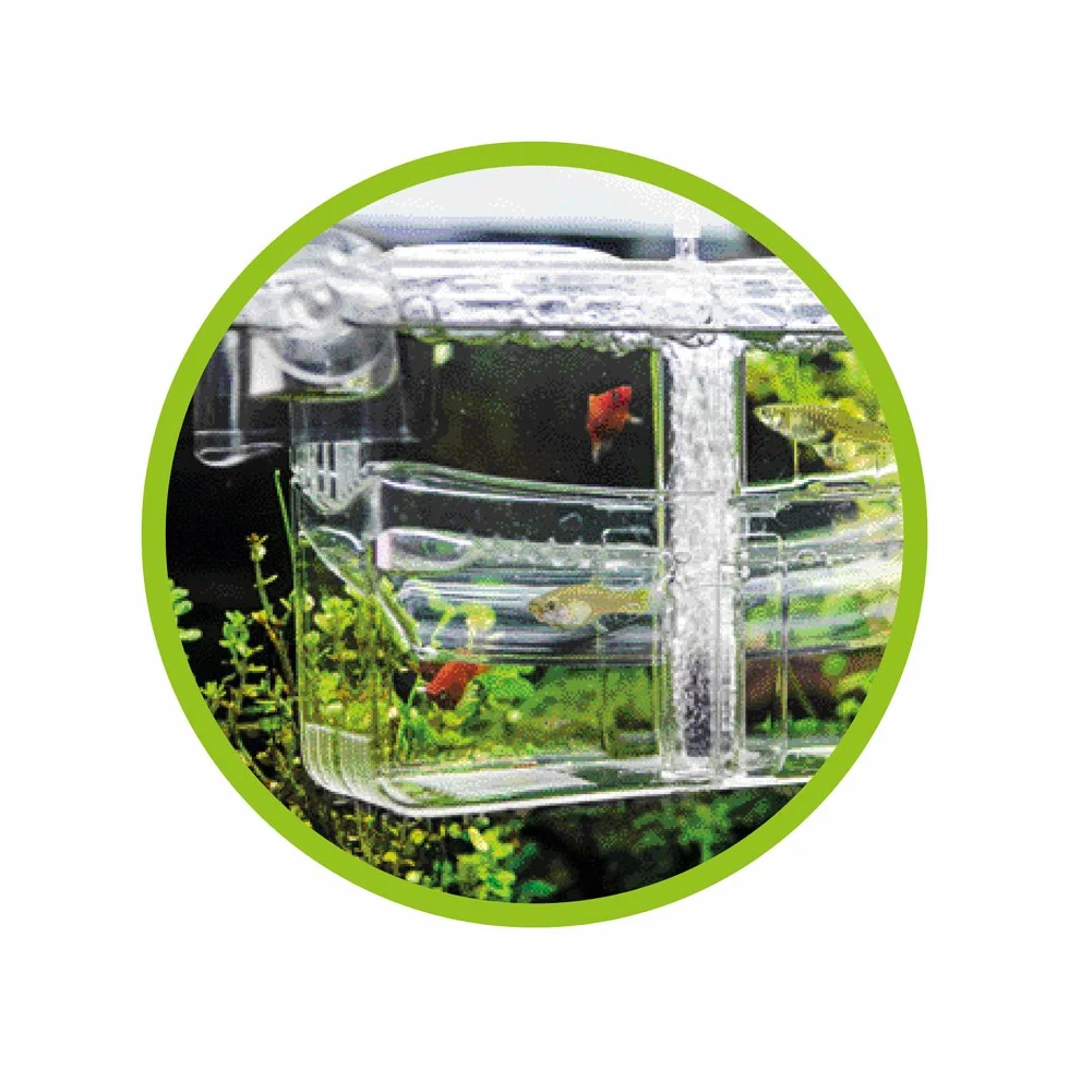 HOBBY Acuario Clásico Plástico para Exteriores con Abastecimiento de Agua Dulce por Elevación de Aire para Pez
