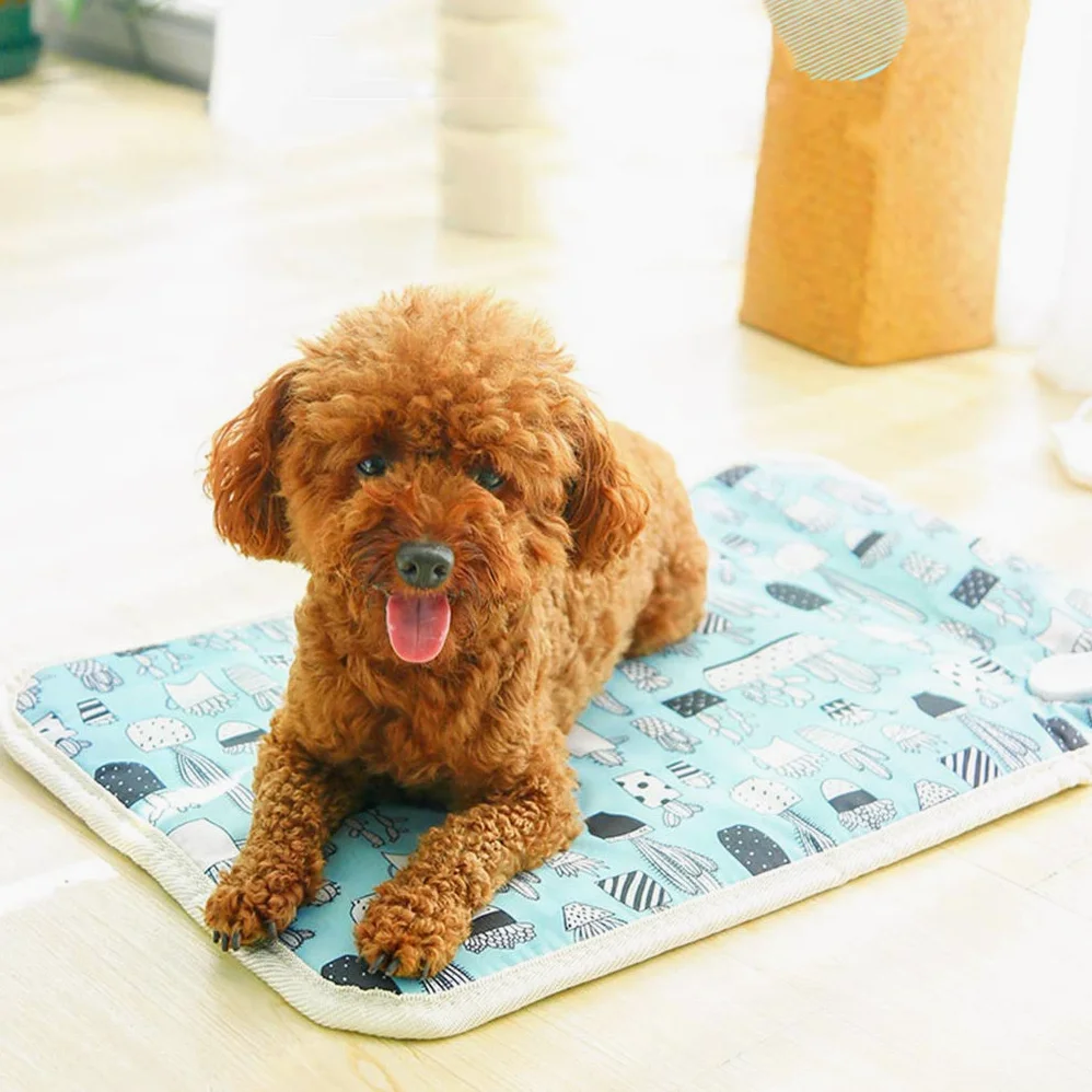Manta térmica Inteligente para Mascotas, Almohadilla térmica Ajustable en Temperatura, Almohadilla térmica para Cama de Perros y Gatos, con línea masticable, Uso en Interiores, Potencia impe