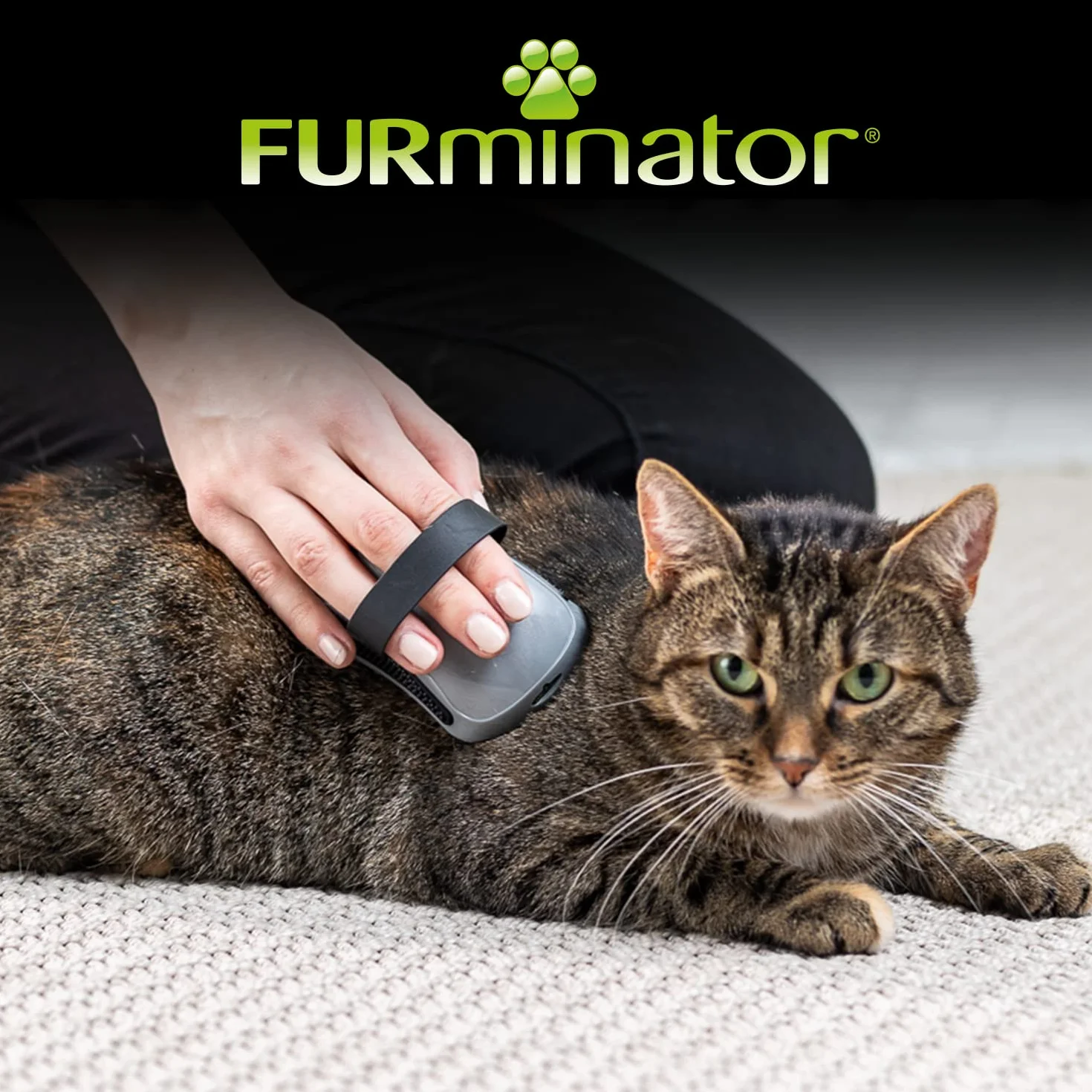 FURminator CurryComb - Peine para perros y gatos (El cepillo para el cuidado del pelaje masajea suavemente la piel - para un pelaje limpio y brillante)