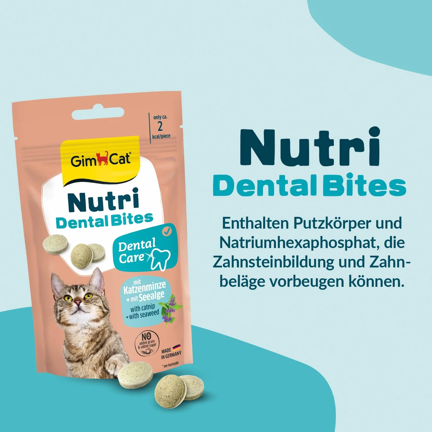 GimCat Nutri Dental Bites – Delicioso Aperitivo con una Receta específica para el Bienestar de tu Gato – 1 Bolsa (1 x 40 g)