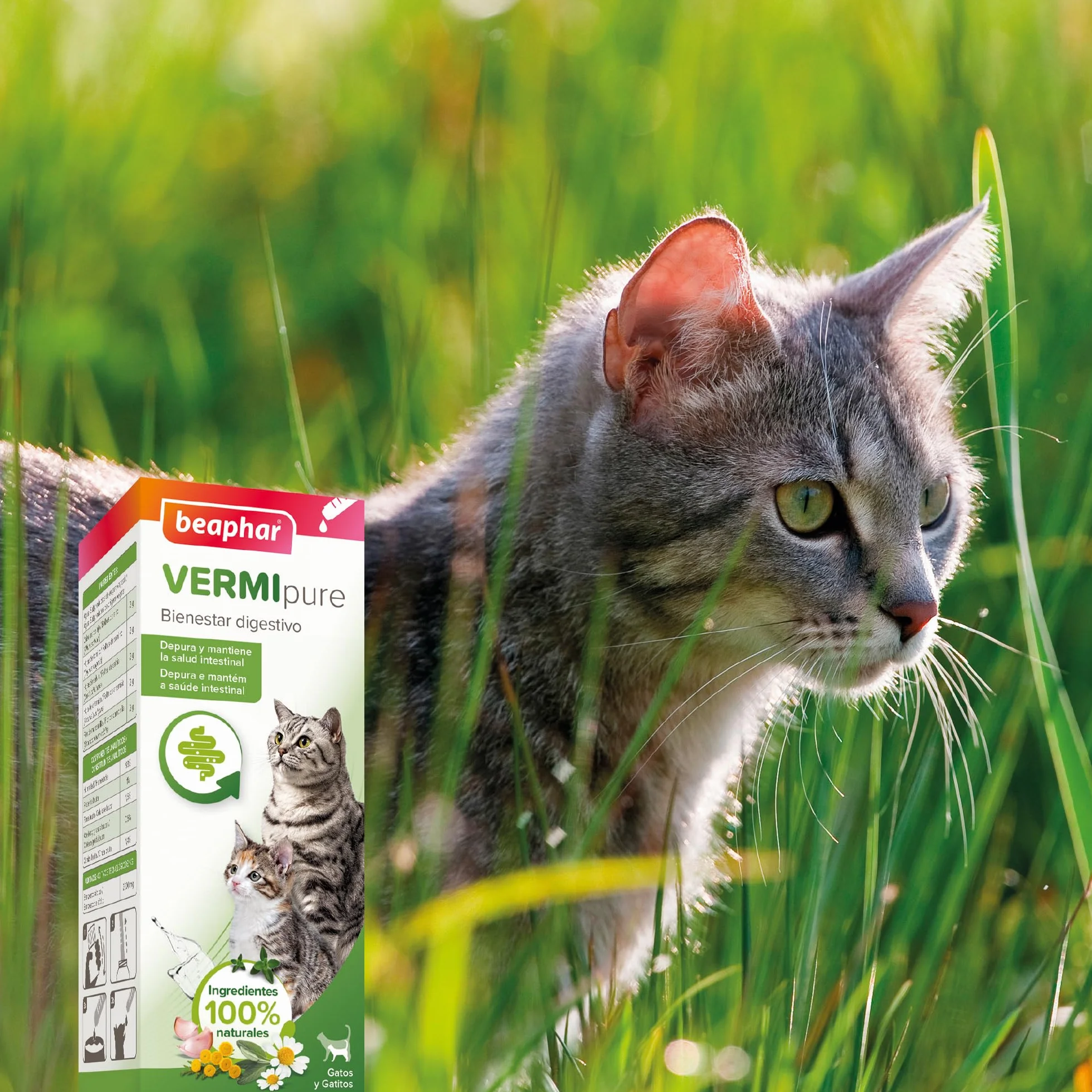 Beaphar VERMIpure Solución Líquida Natural Gatos y Gatitos - 50ml