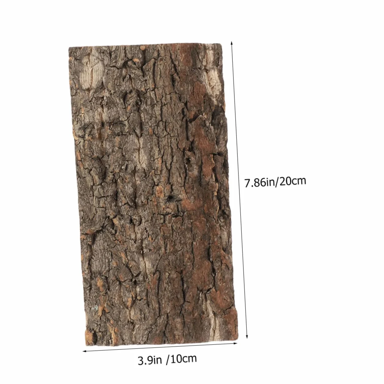 BESPORTBLE 10piezas Reptile Bark Backdrop para y Terrarios Natural De para Decoración De Peceras y Reptiles y