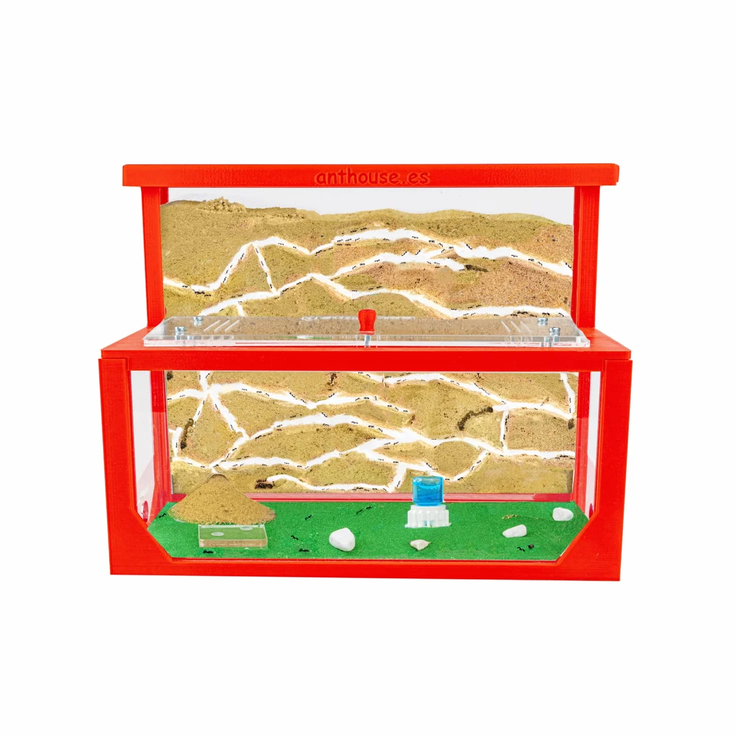 Anthouse.es - Hormiguero Natural de Arena - Kit Hormiguero 3D Forma de L (Sándwich + Caja de Forrajeo) - Granja de Hormigas con Colonia de Hormigas Incluida - 25x20x1 cm y 10x24x10 cm - Rojo