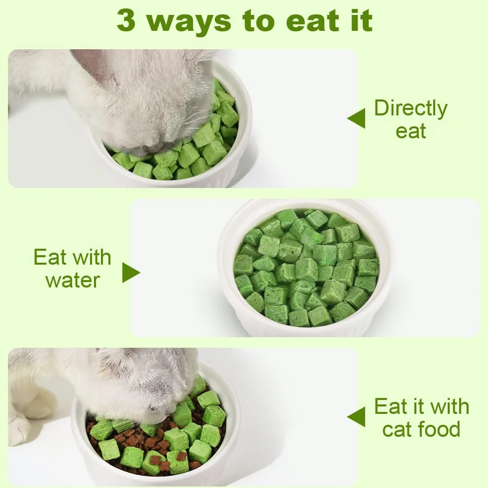 OSDUE Golosina de Hierba Gatera para Gatos, 100g Snack Liofilizado con Hierba Gatera para Limpiar los Dientes, Palillo Masticable para Gatos Favorecer Digestión y Absorción, Cat Grass Teething Stick