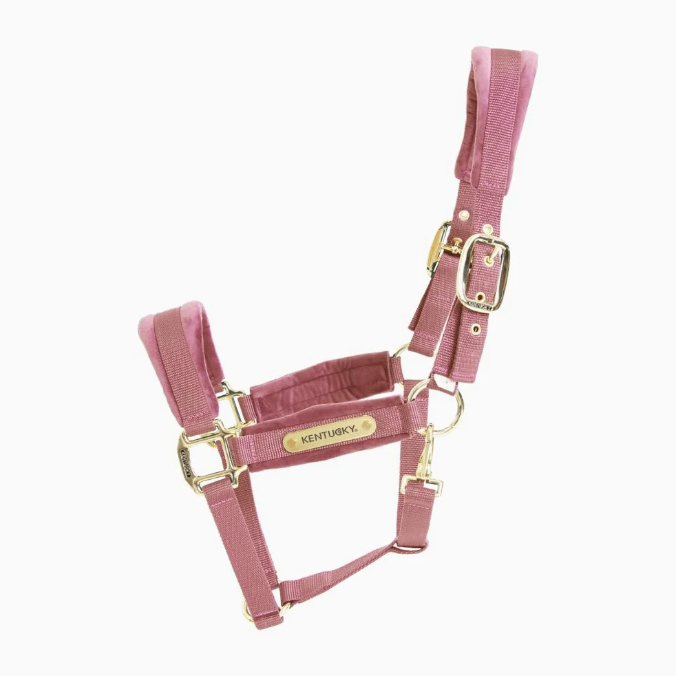 Kentucky Horsewear - Cabestro - Terciopelo - Rosa Viejo - Cob