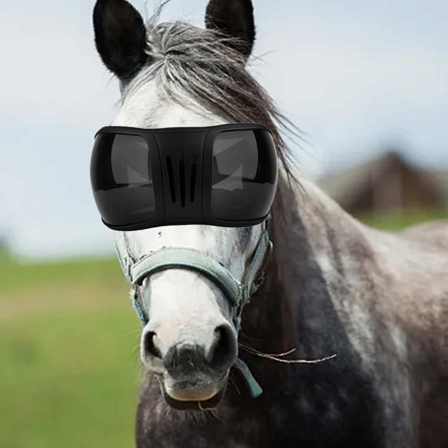 Milageto Gafas de equitación para protección Ocular de Caballos, Gafas ecuestres Multiusos a Prueba de Viento, Gafas Protectoras para Caballos para Exteriores