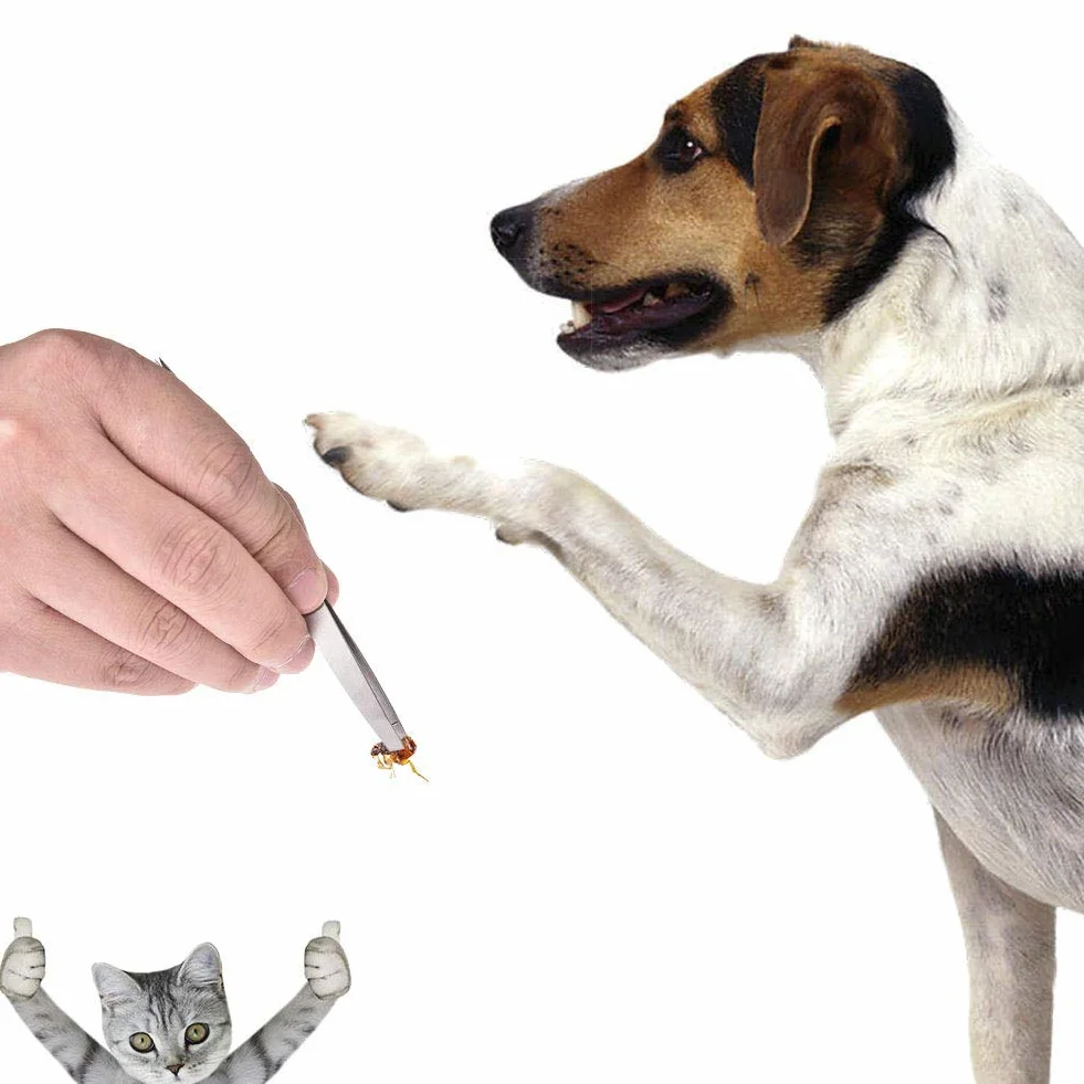 YOUYIKE® Pinzas para garrapatas,Acero Inoxidable Pet Perros Gatos garrapatas Remover Kit,3 Premium tickremover + Caja de Almacenamiento