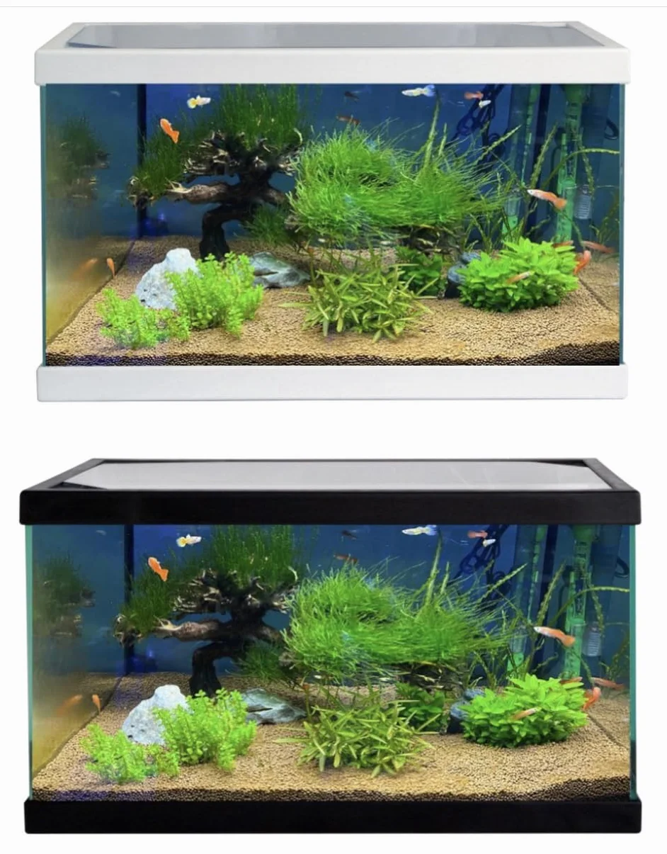 Acuario PECERA DE Cristal 20 litros Kit Completo