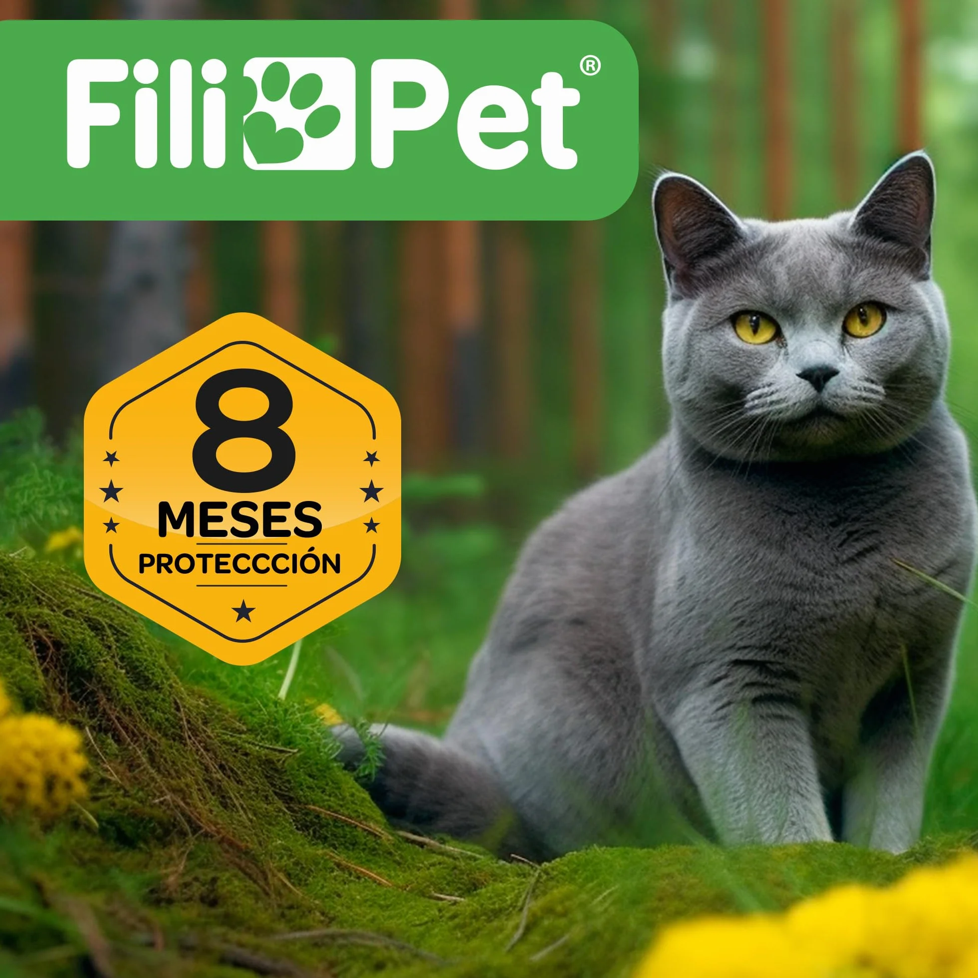 Collar Antiparasitario para Gato en, 8 Meses de Protección, Eficaz contra Pulgas, Garrapatas, Mosquitos y Piojos, Resistente al Agua, 38 cm de Largo, Ajustable (Amarillo)