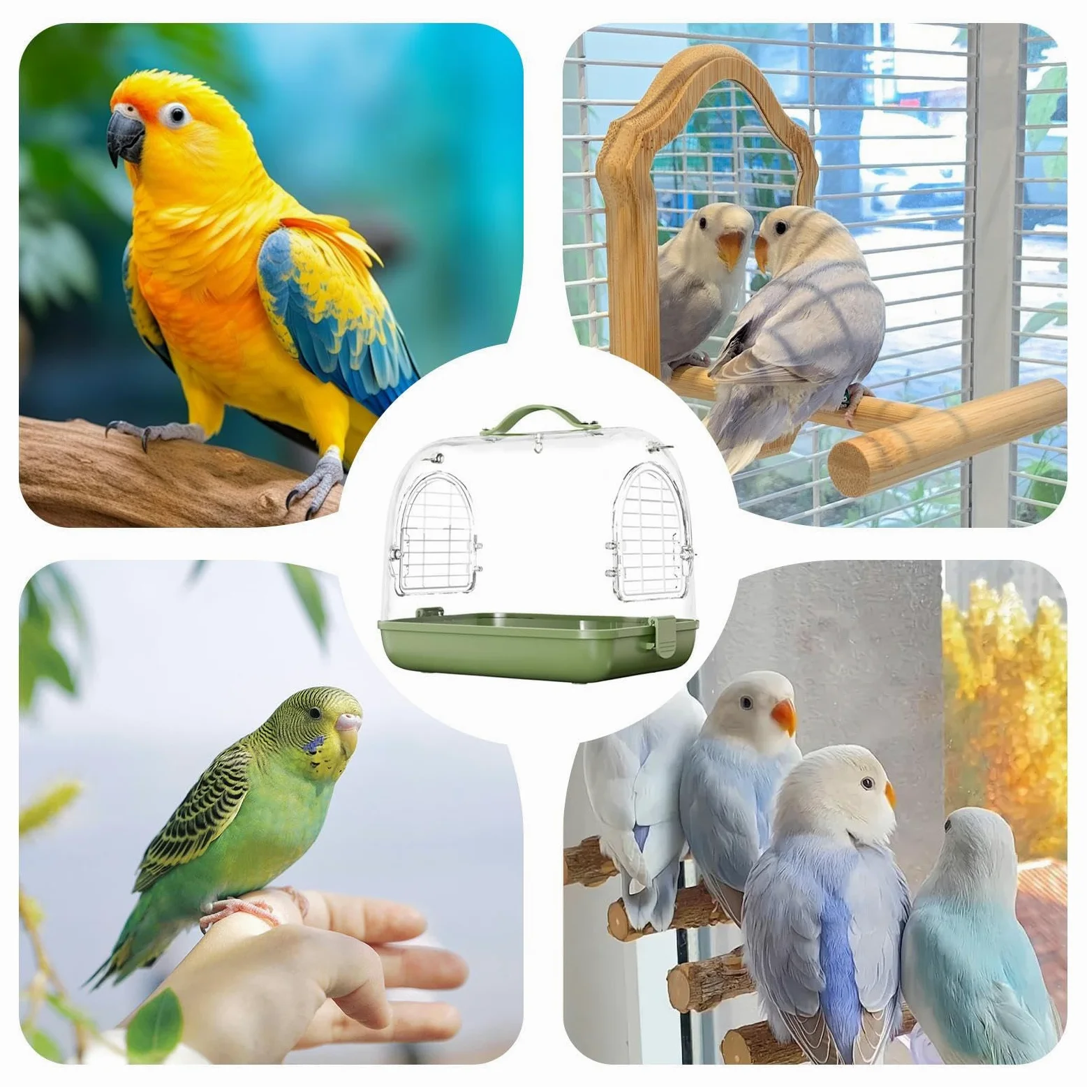 Jaula de viaje de aves, jaula de aves de viaje CAGA PORTABLE DE IMPARACIÓN | Hámster que transporta suministros, accesorios de viaje de cacatúa, bolsa de viaje de mascotas