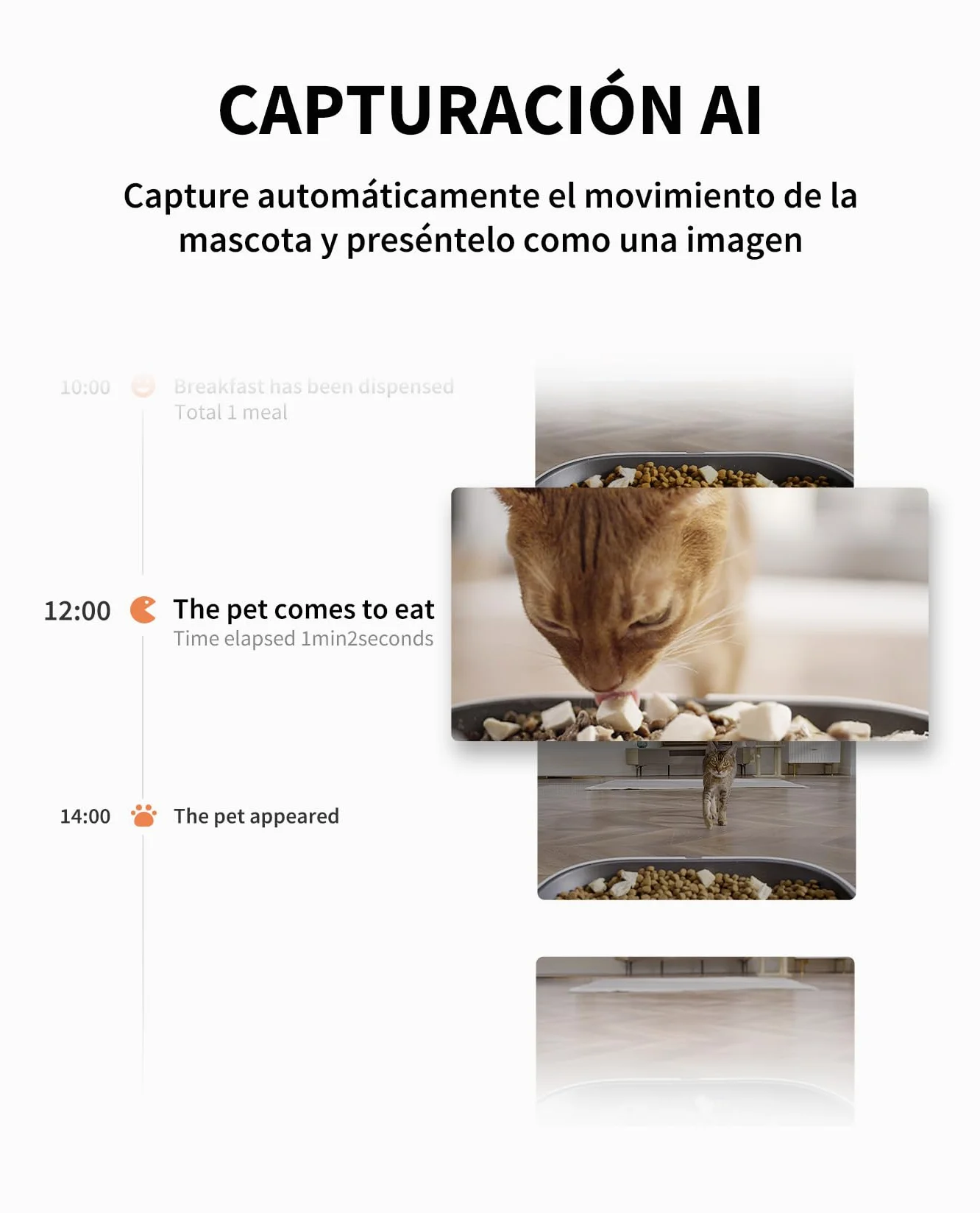 PETKIT Comedero Gato Automatico con Cámara, 5L Doble Tolva Dispensador Comida Gatos/Perros, 1080P HG, Función AI, 2.4G WiFi, Audio Bidireccional, App Control, Cuenco de Acero Inoxidable
