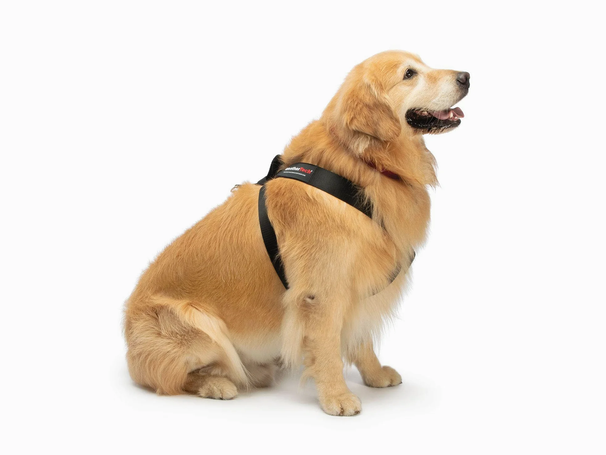 WeatherTech Arnés de seguridad para mascotas, mantiene a tu mascota segura mientras estás en movimiento, color negro pequeño (84PH2427BK)