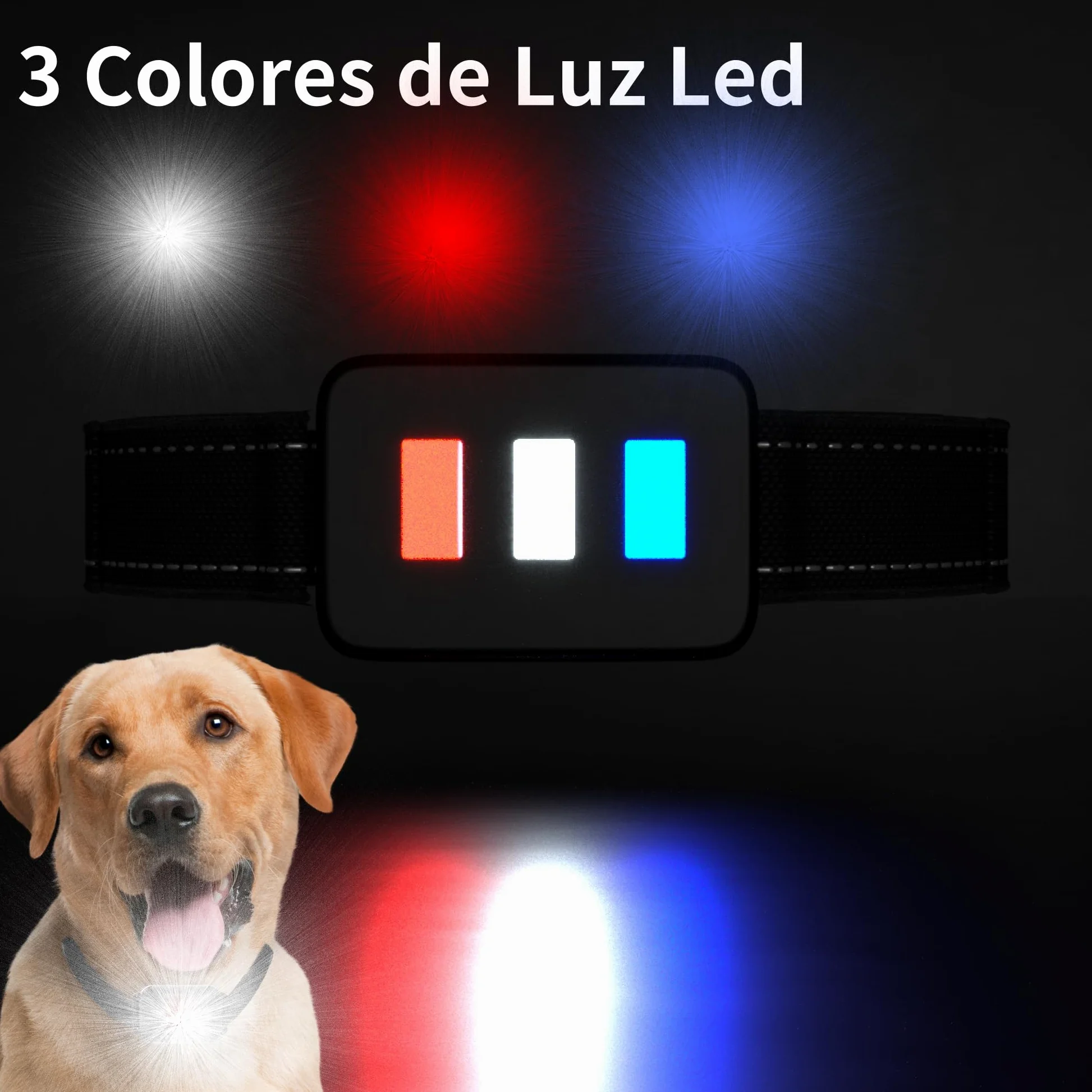Meloive Collar para Perro,Collar Nylon Reflectante Impermeable,Duradero y Cómodo para Perros Grandes,Medianos y Pequeños,2 Collars