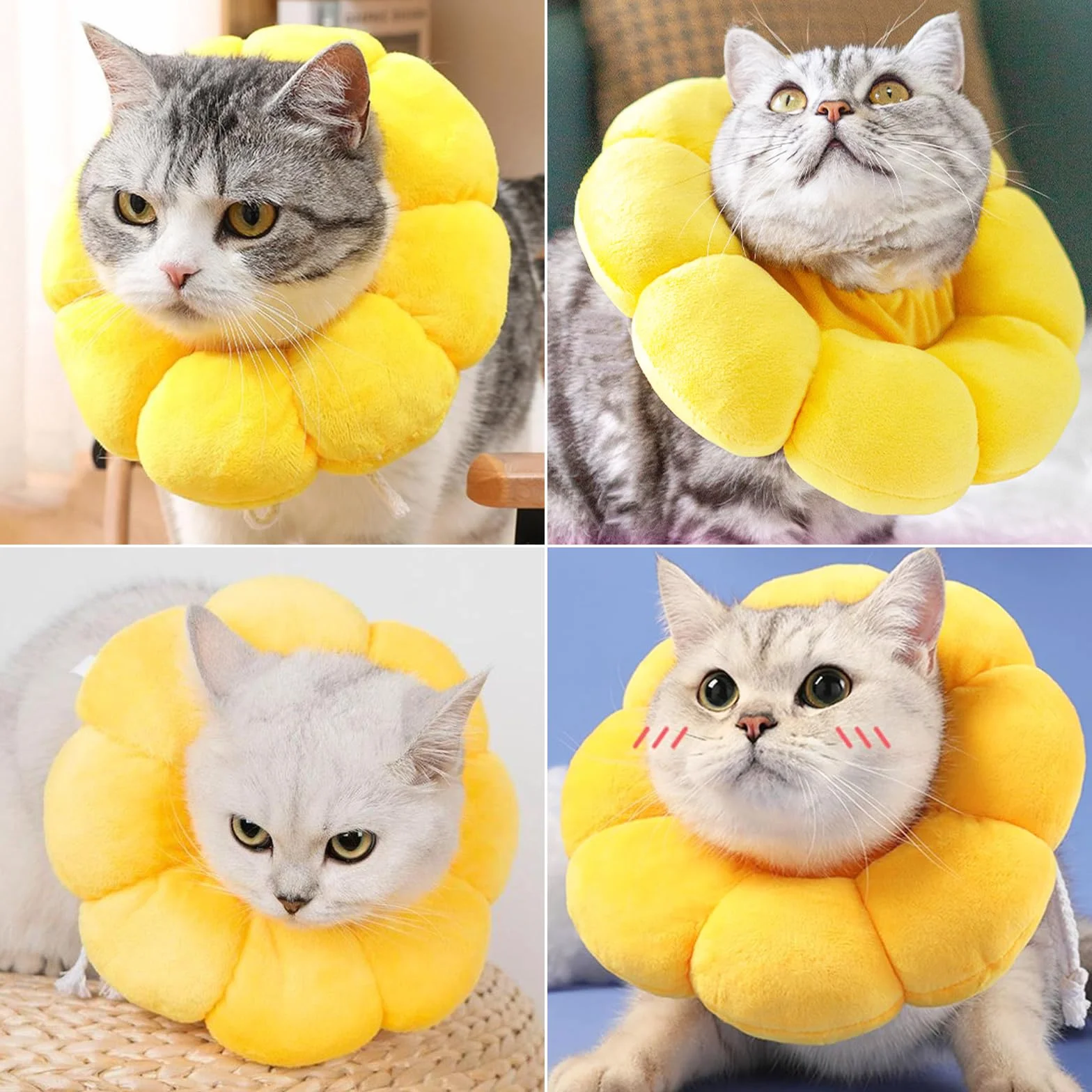 Newpop Collar Isabelino Gato, Collares Protector para Gatos, Collarin Gato de Girasol, Cono Suave del Cuello Mascotas, para Gatitos Perros Pequeños Cicatrización de Heridas Después de una Operación(M)